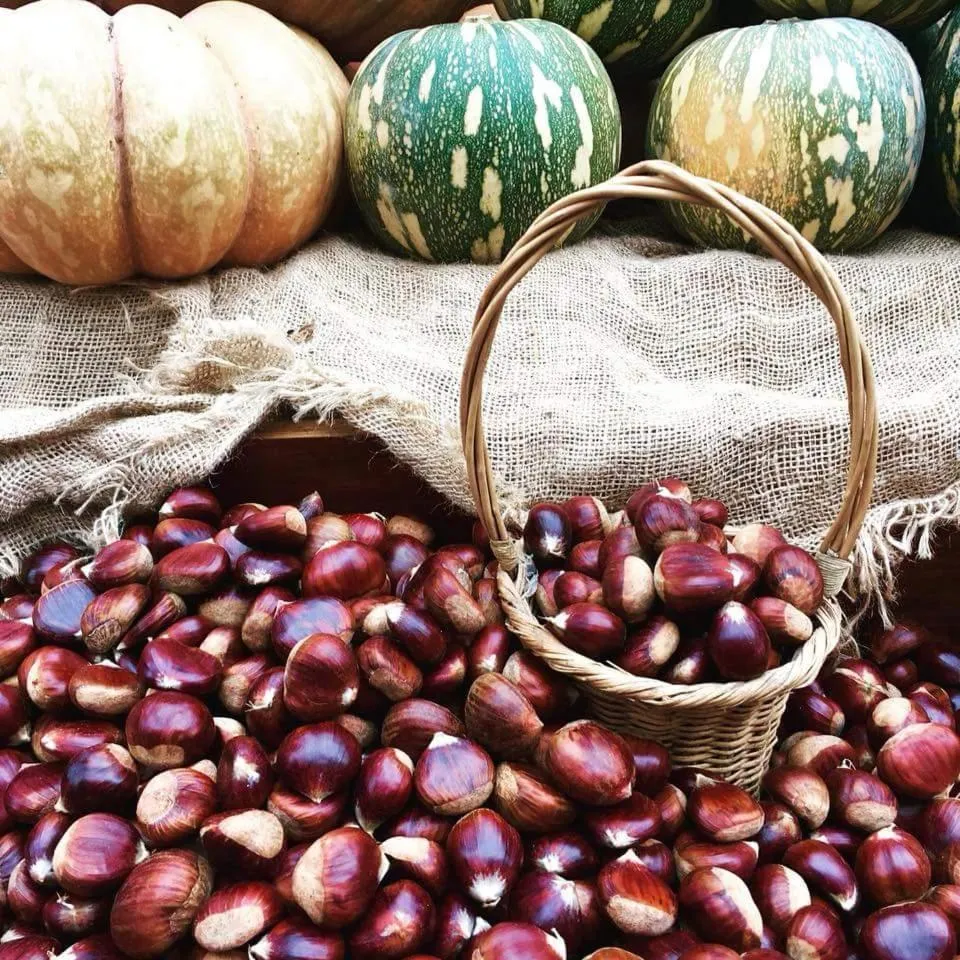 B&B La Voce del Fiume Dimora storica di Charme