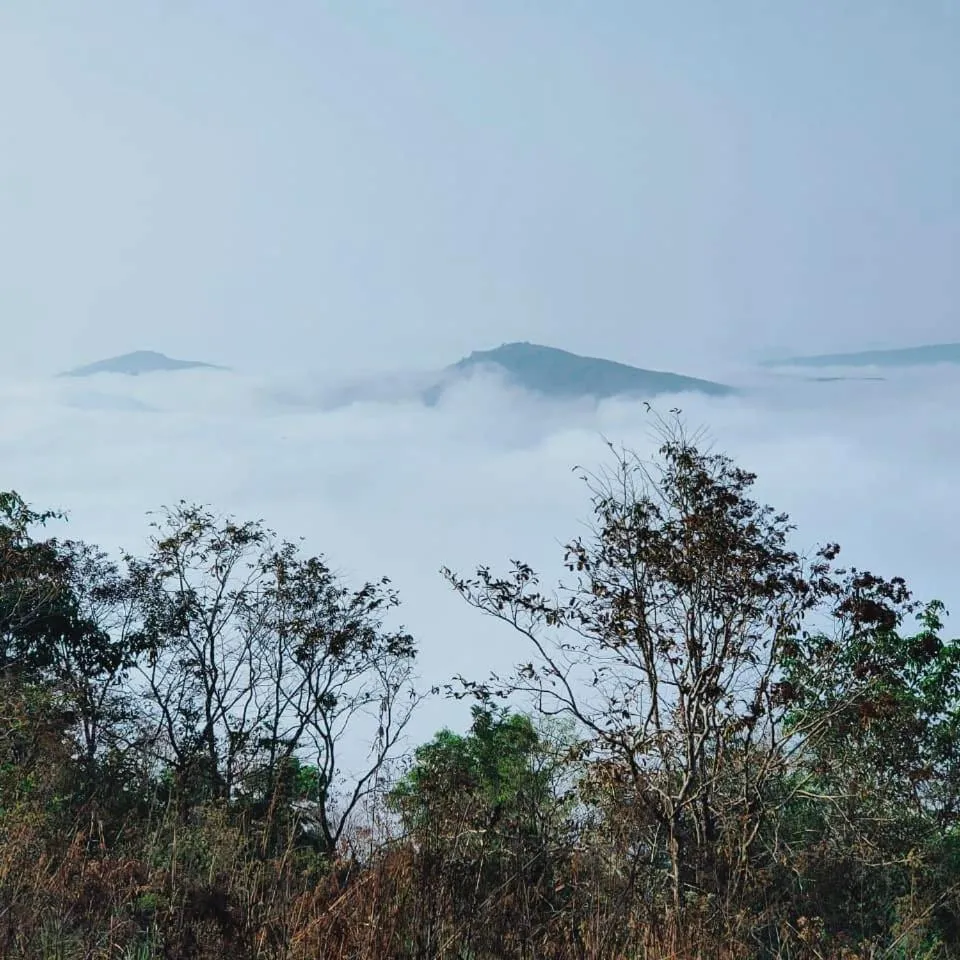 Olivia Homestay Idukki