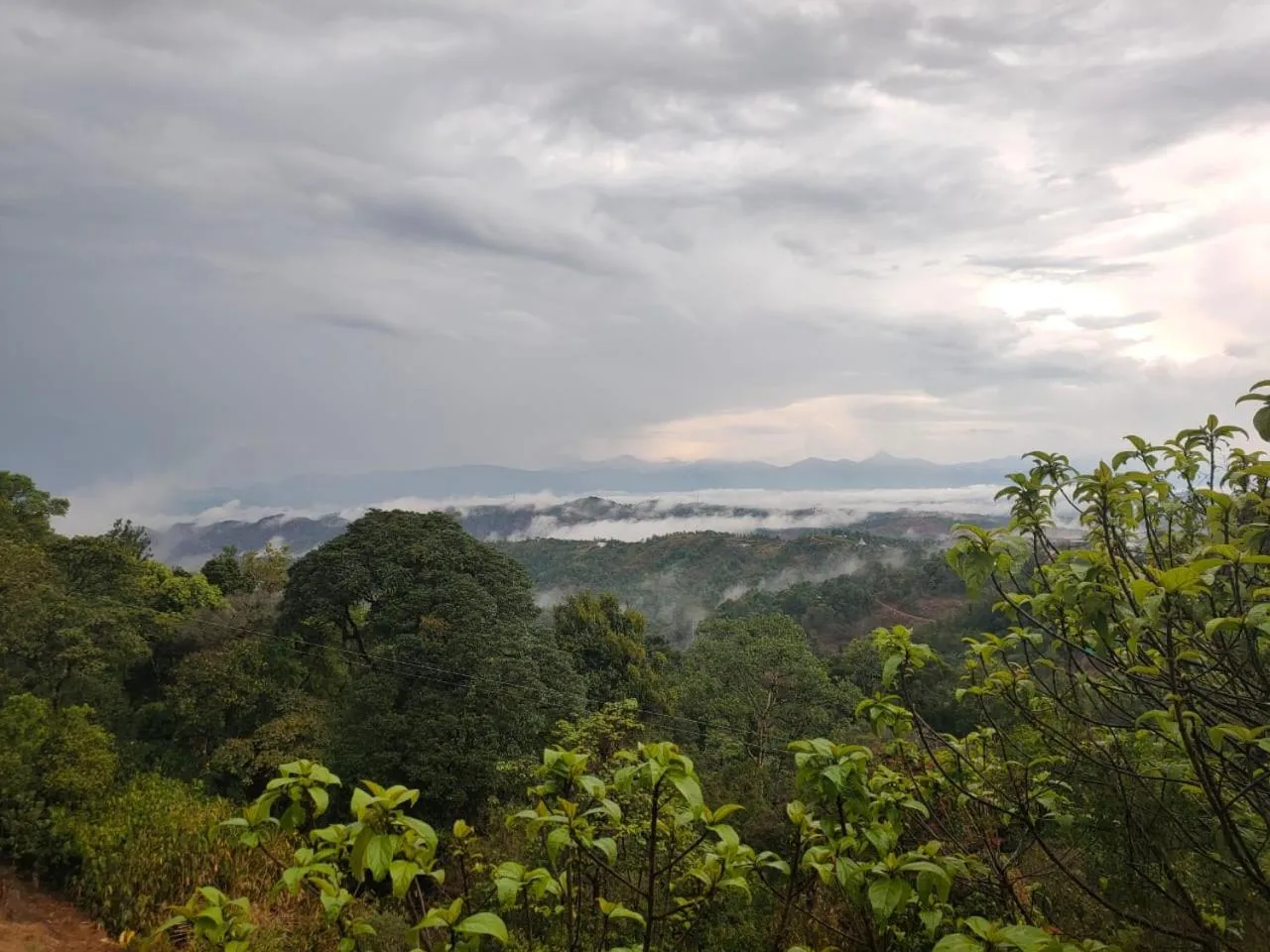 Olivia Homestay Idukki