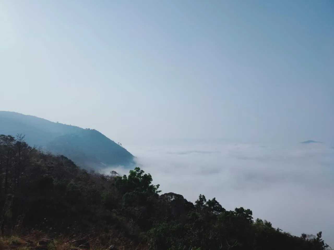 Olivia Homestay Idukki