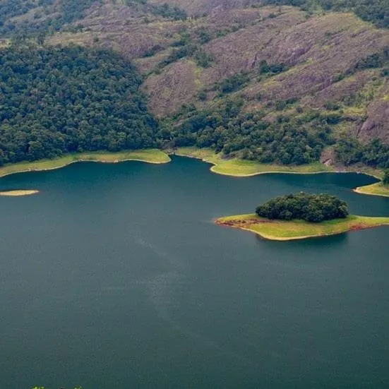 Olivia Homestay Idukki