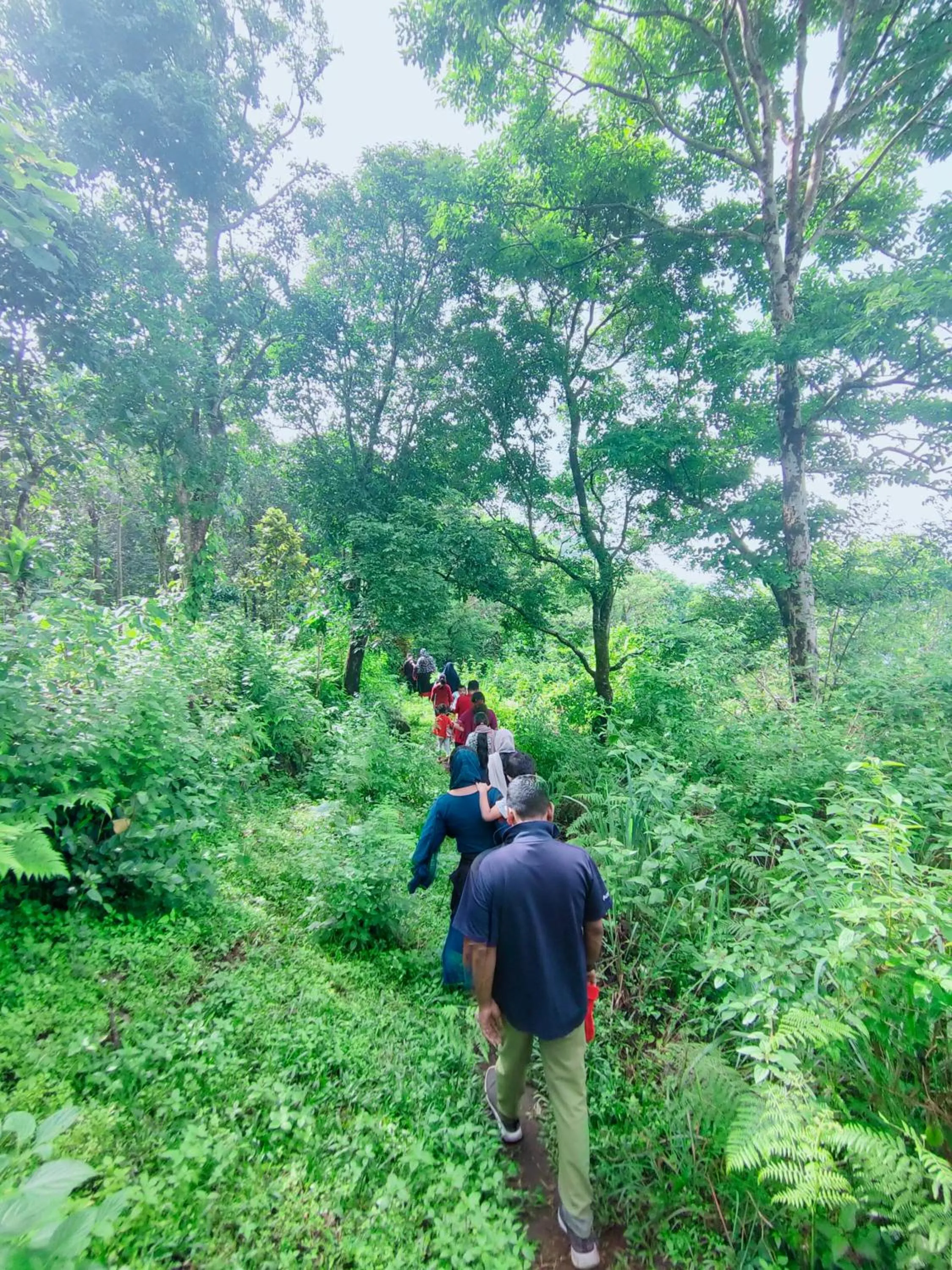Olivia Homestay Idukki