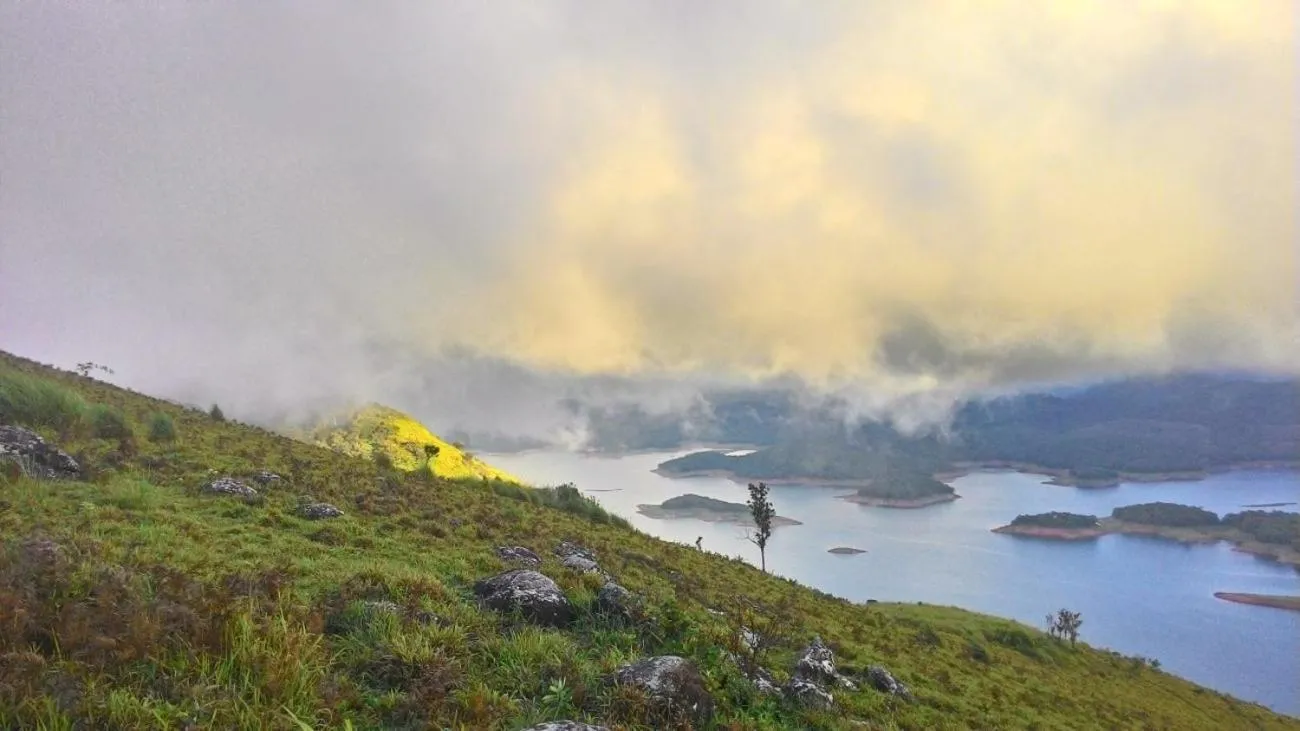 Olivia Homestay Idukki