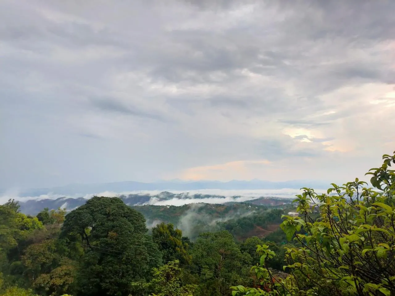 Olivia Homestay Idukki