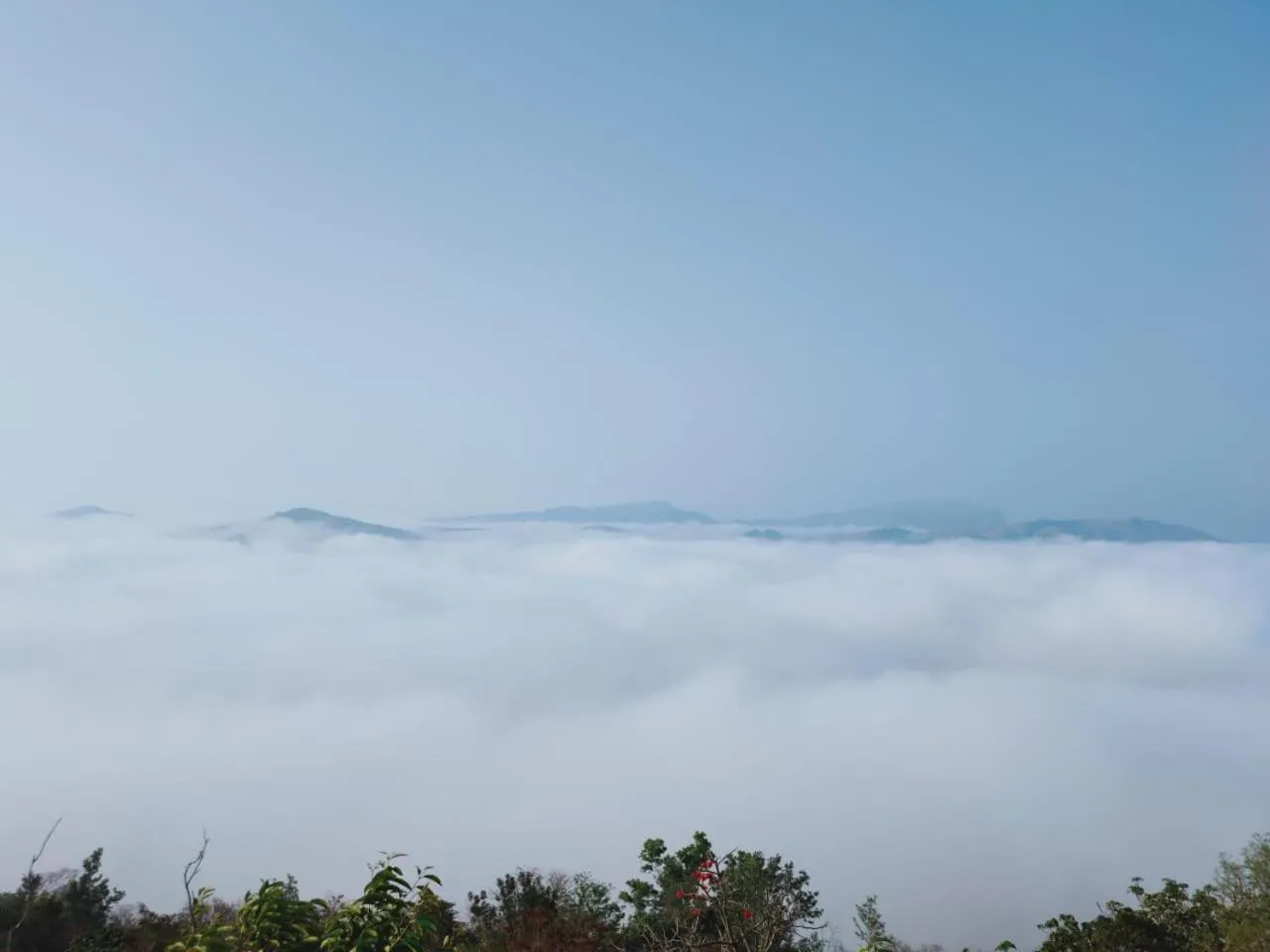 Olivia Homestay Idukki