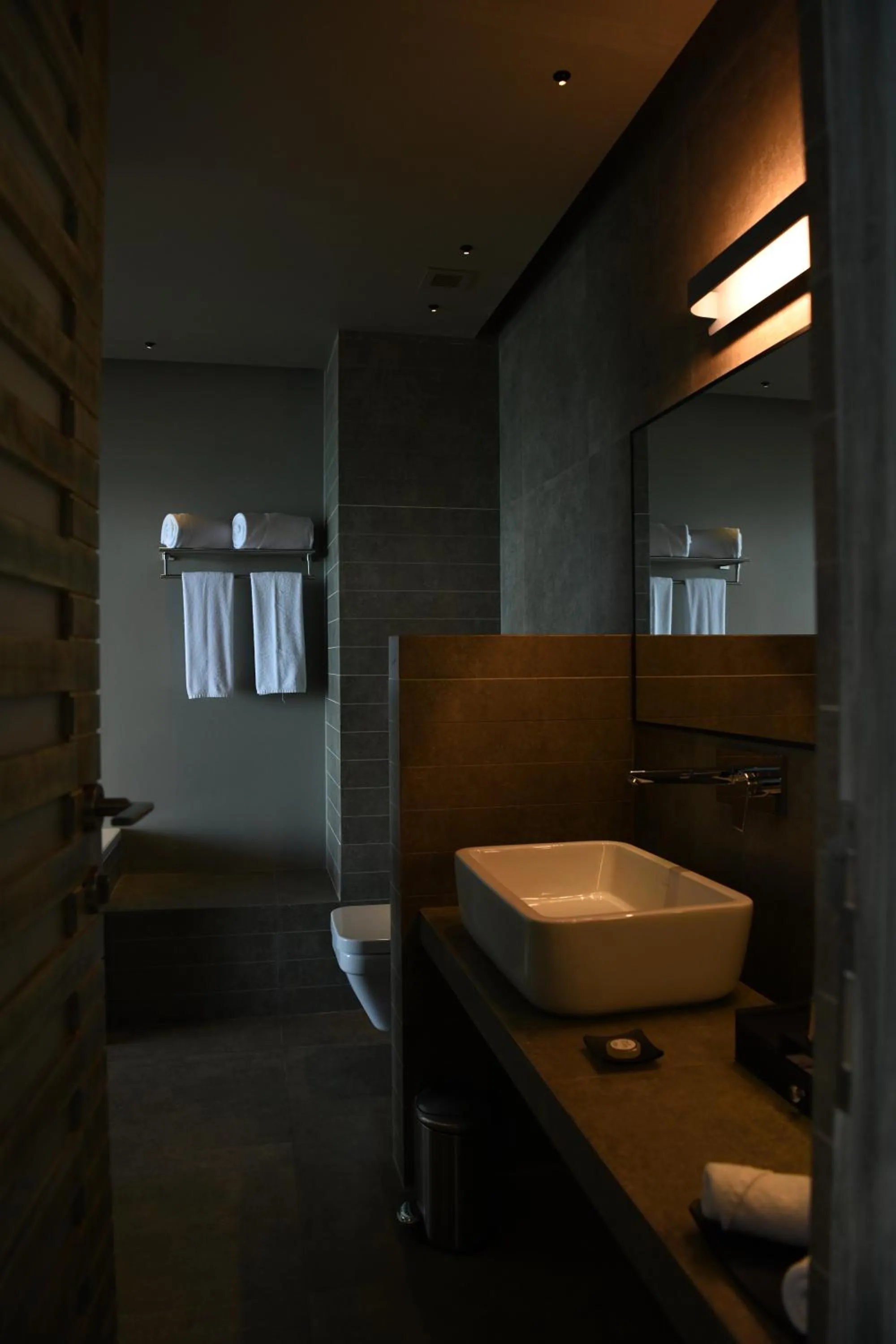 Bathroom in Pledge Scape