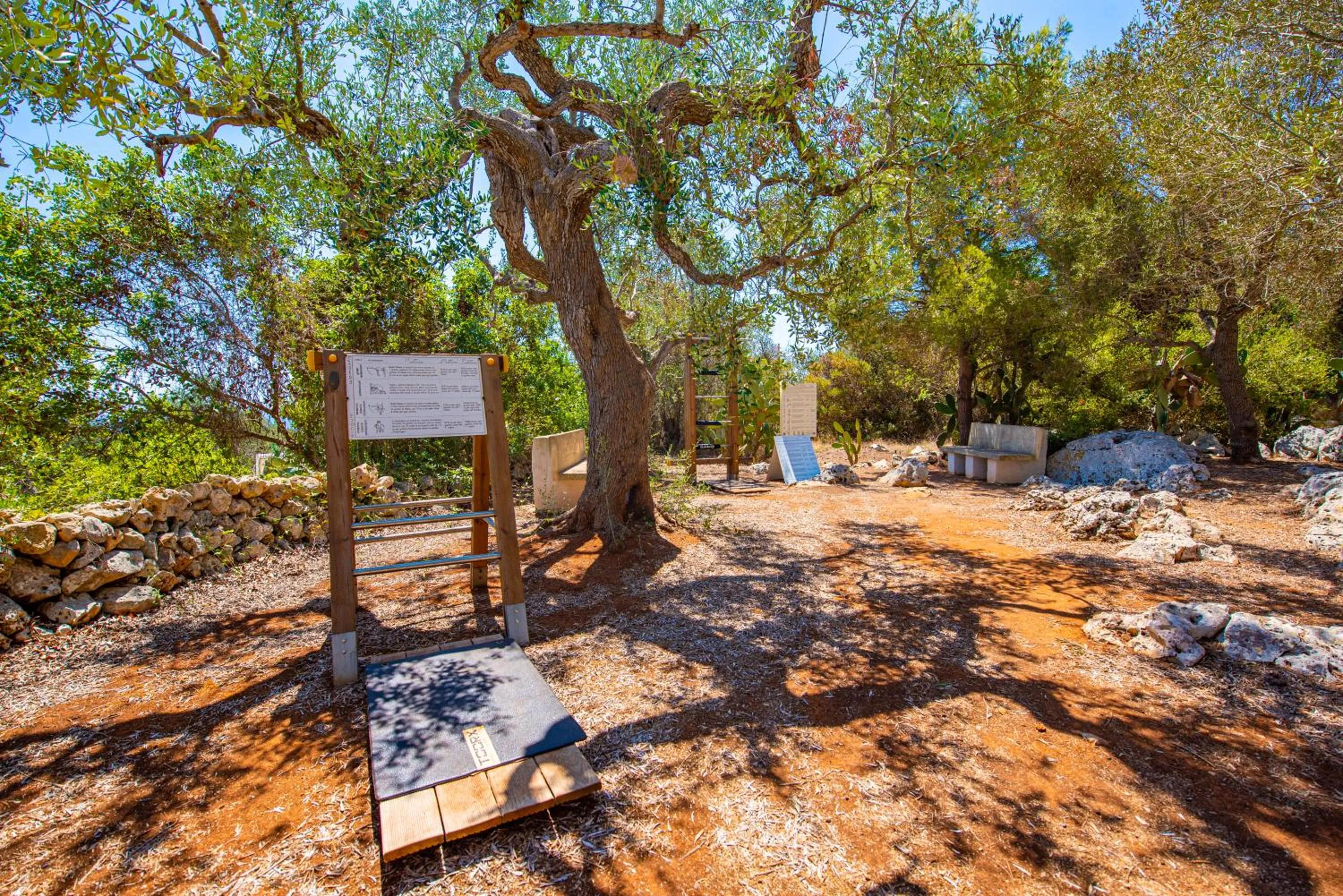 Fitness centre/facilities in Marenea Suite Hotel - CDSHotels