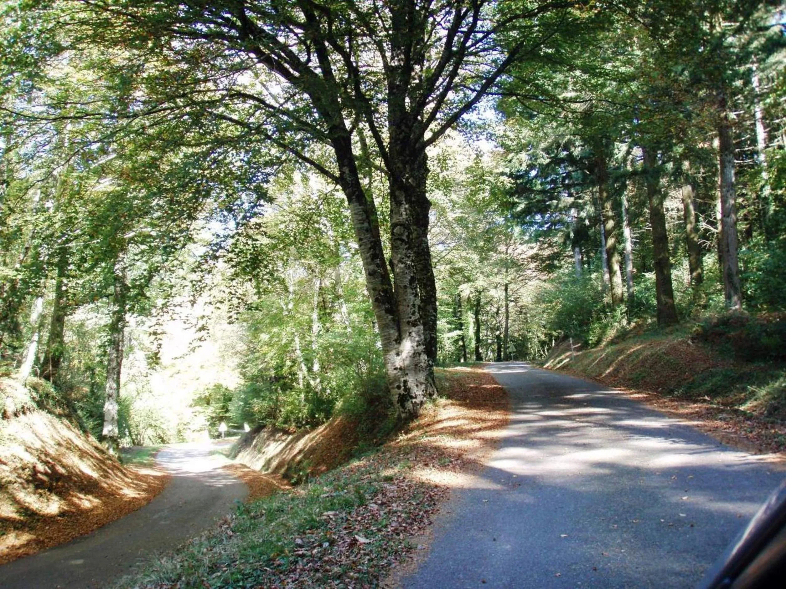 Off site in Chez Providence Chambres et Table d'Hôtes