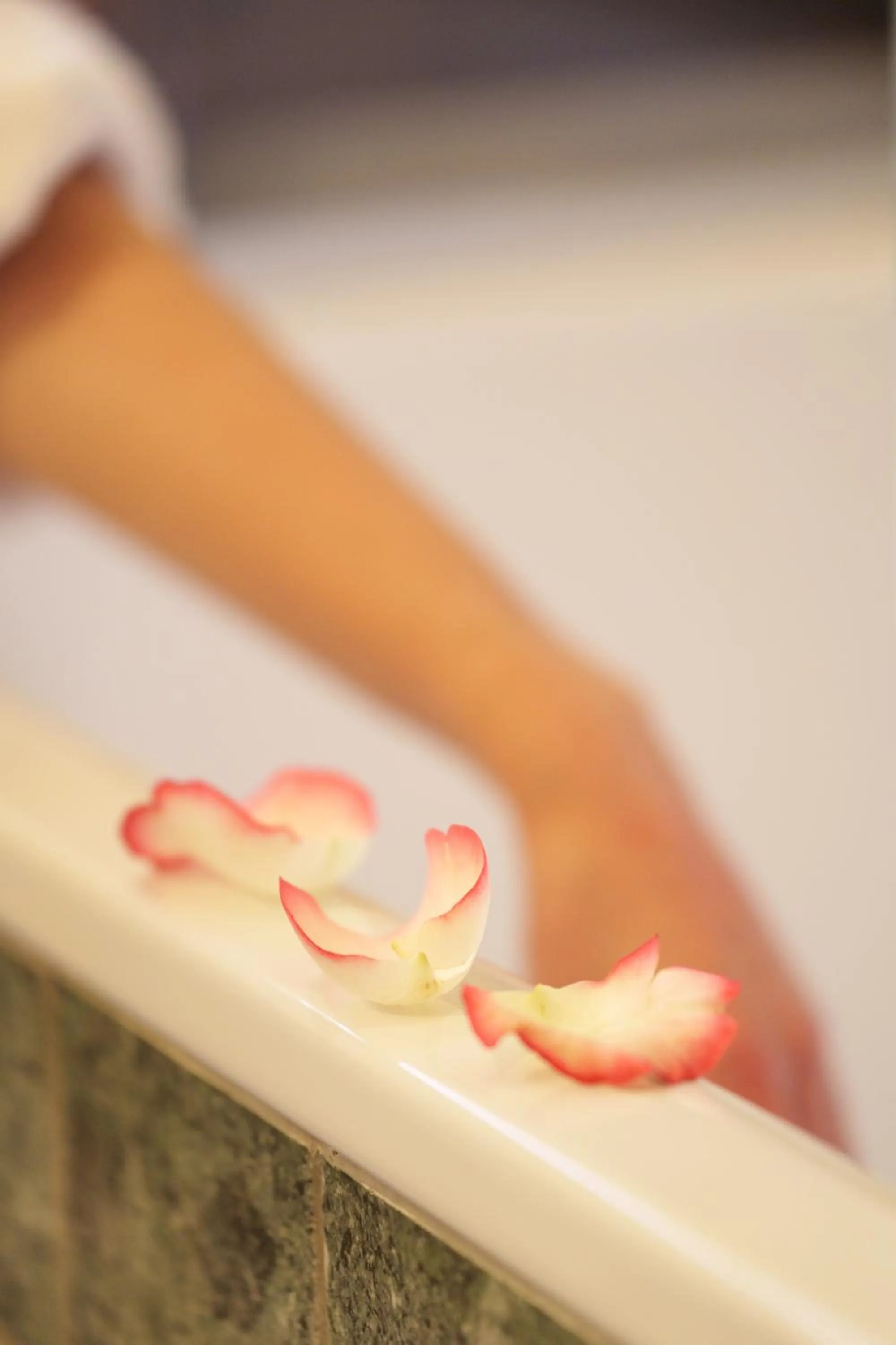 Les Jardins d'Anaïs