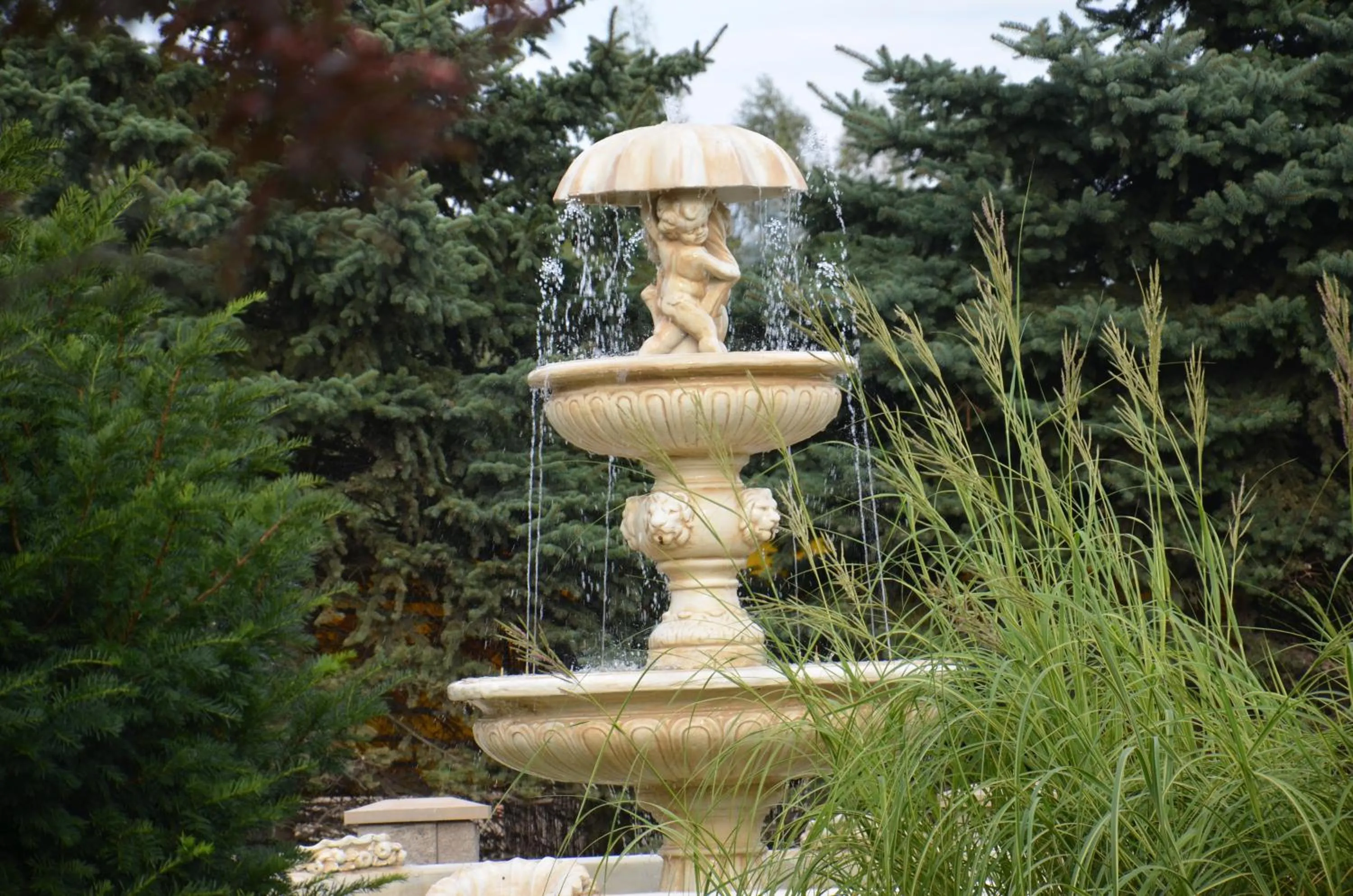 Garden in Hotel Marco Płońsk Szkolna 115