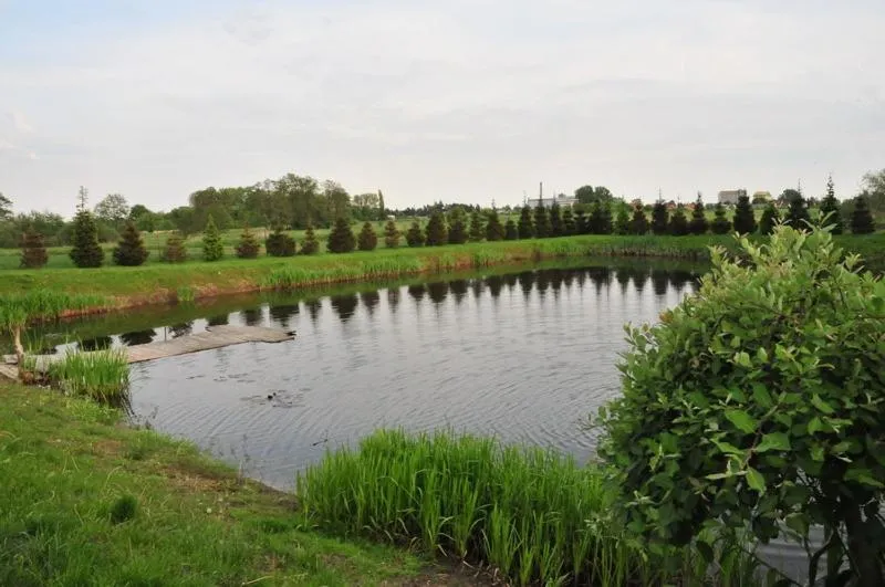 Garden in Hotel Marco Płońsk Szkolna 115