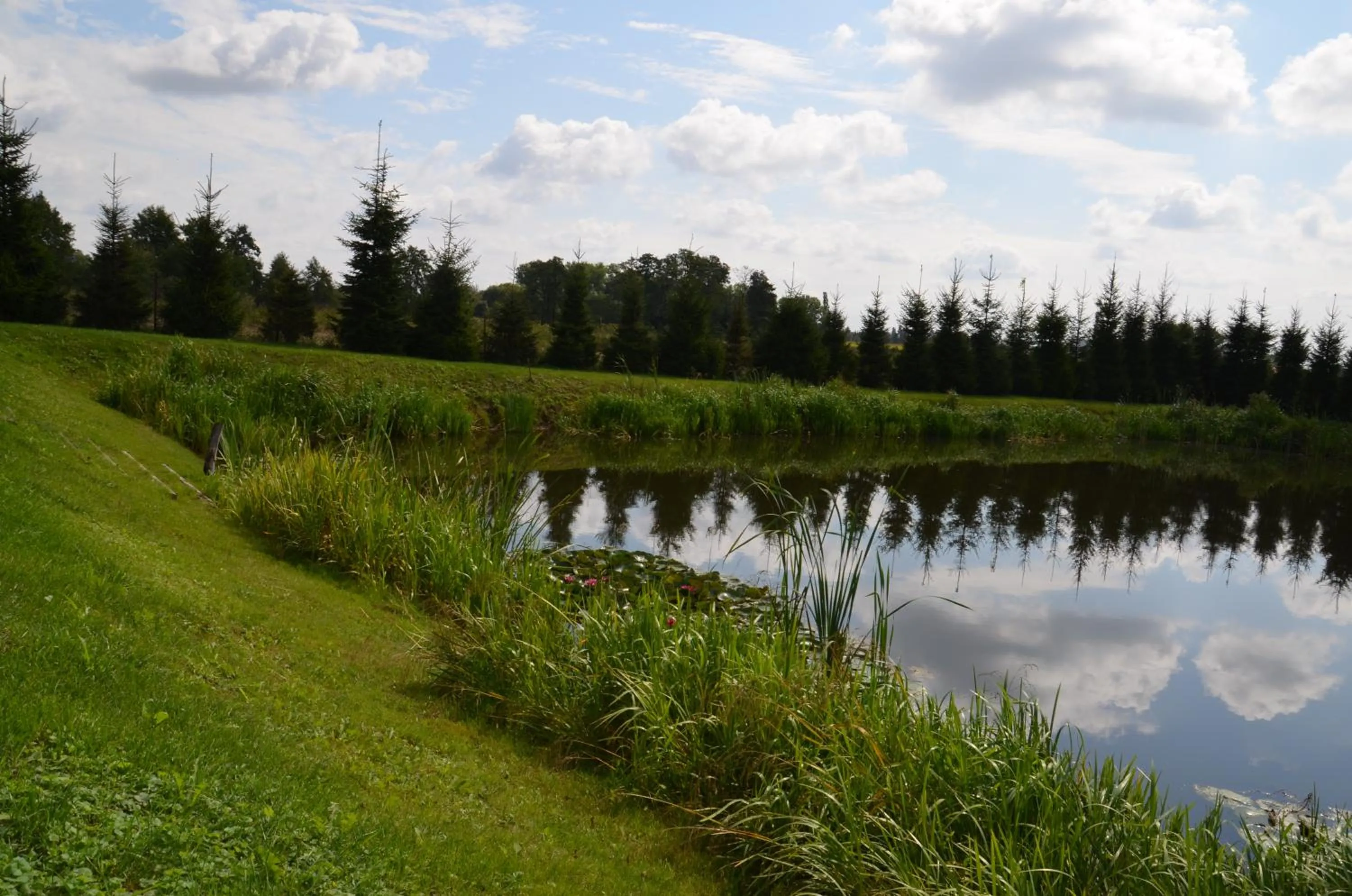 Fishing in Hotel Marco Płońsk Szkolna 115