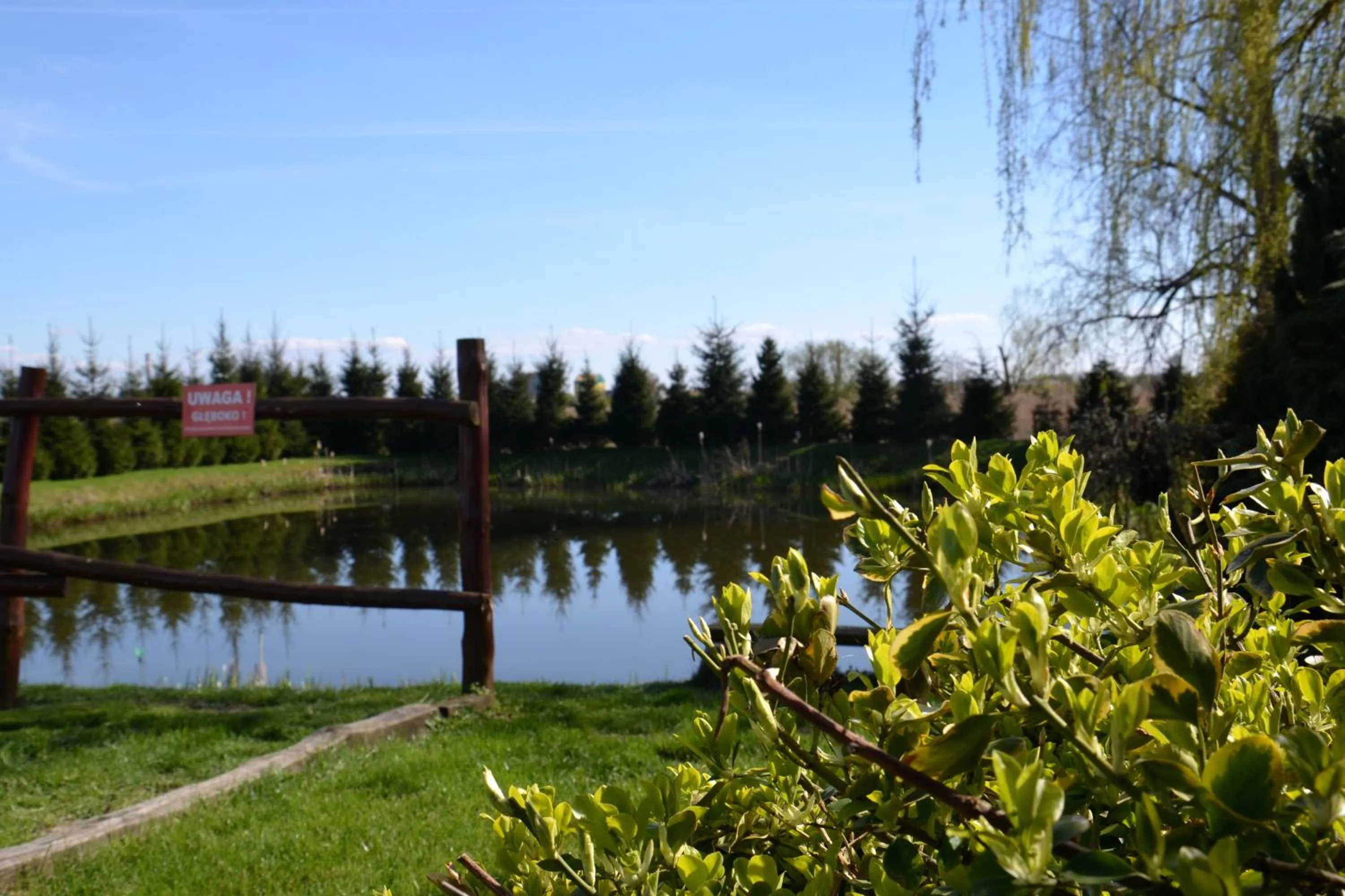 Fishing in Hotel Marco Płońsk Szkolna 115