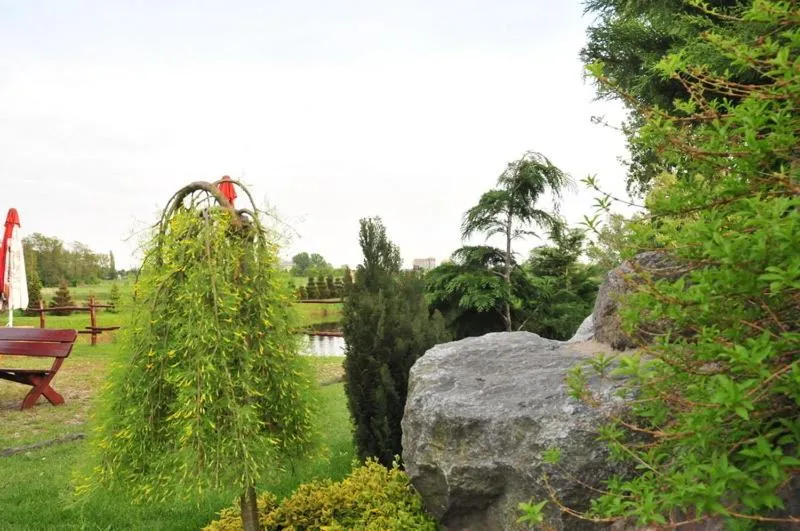 Hotel Marco Płońsk Szkolna 115