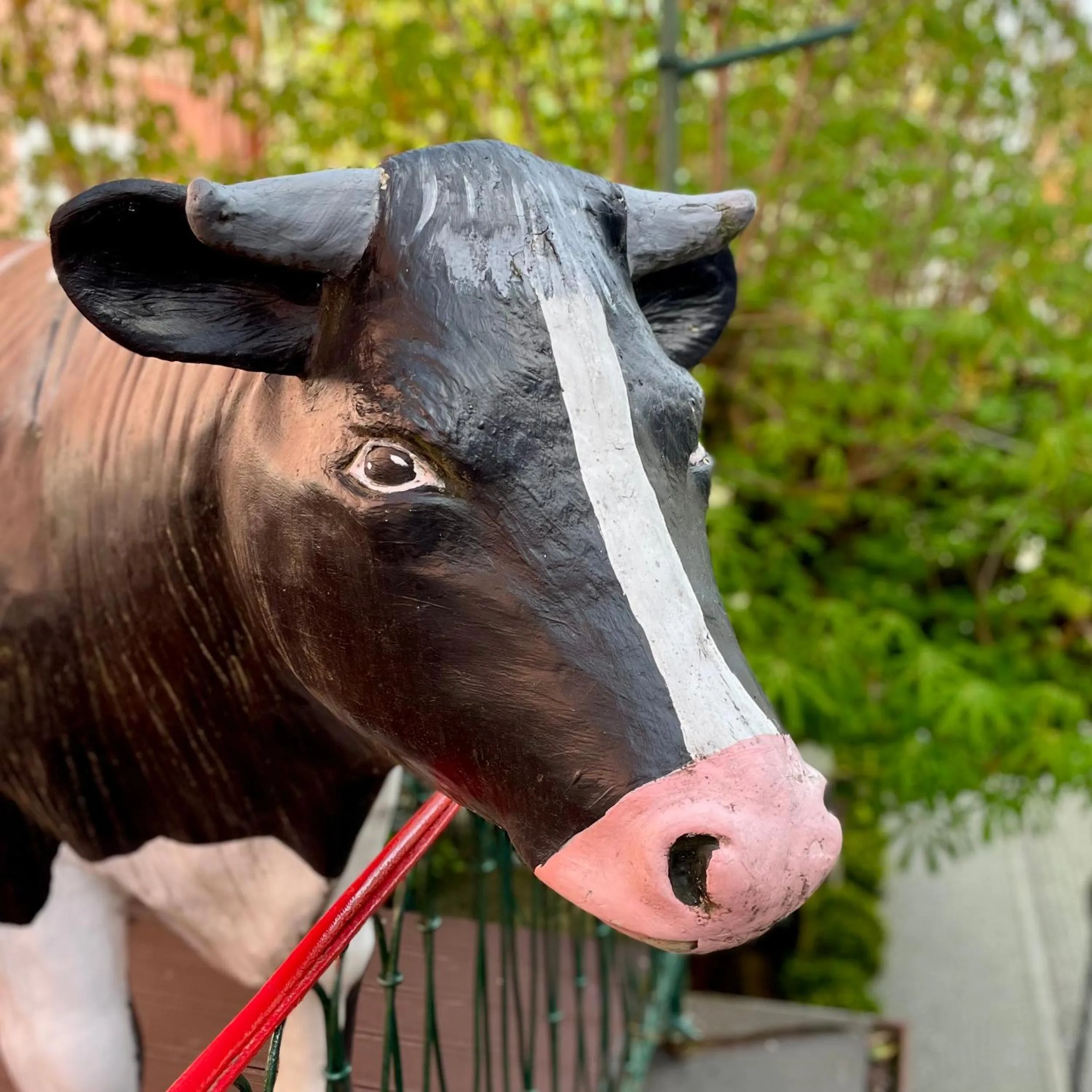Balcony/Terrace in Hotel Gasthof Inselgraben garni
