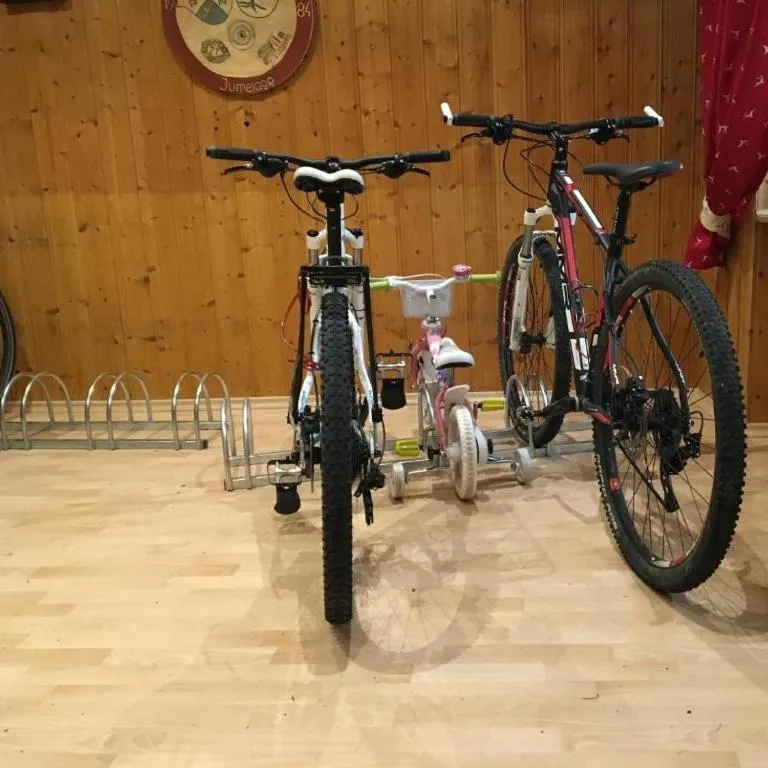 Cycling in Hotel Gasthof Inselgraben garni