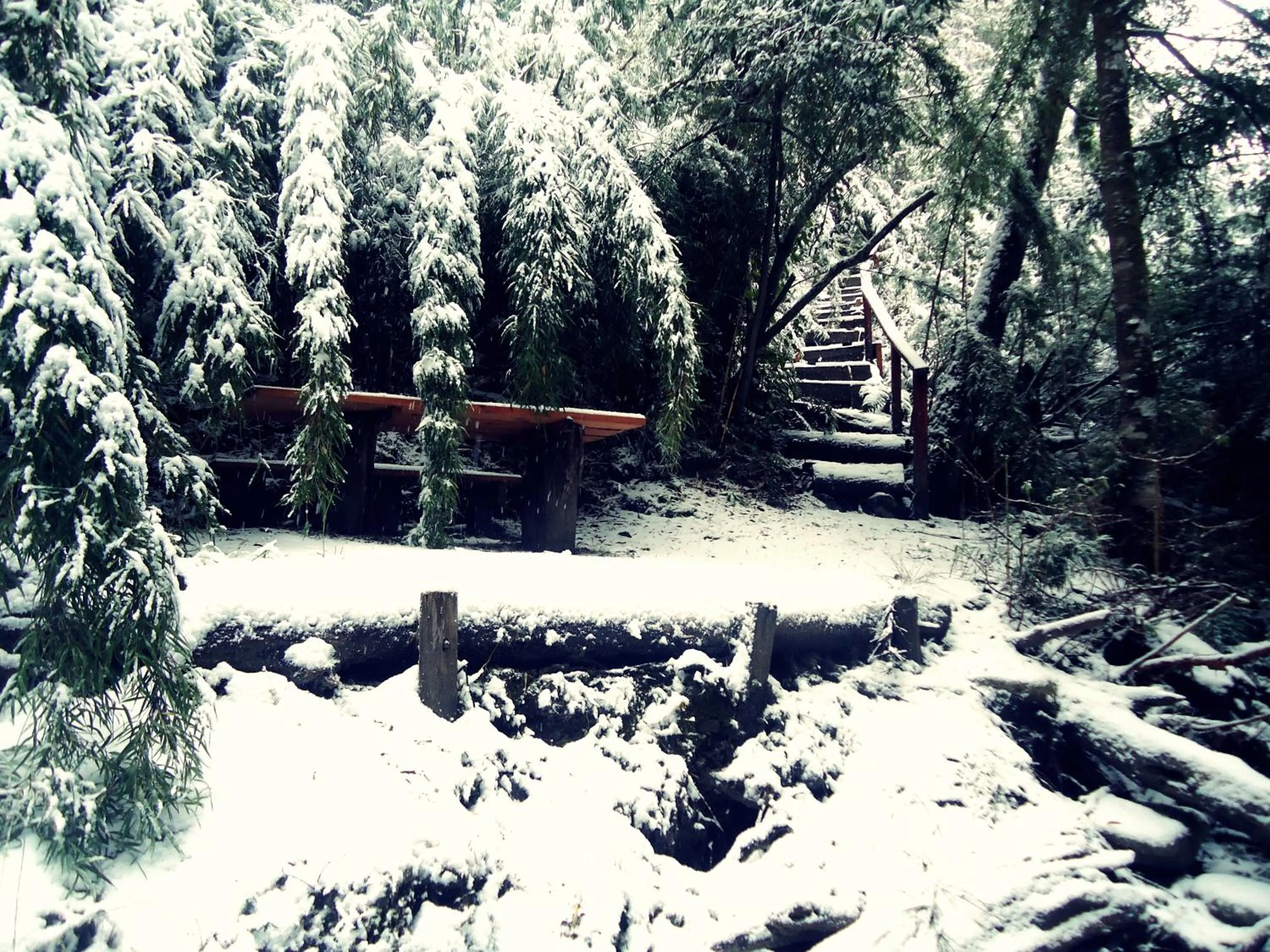 Off site in Hosteria Patagon