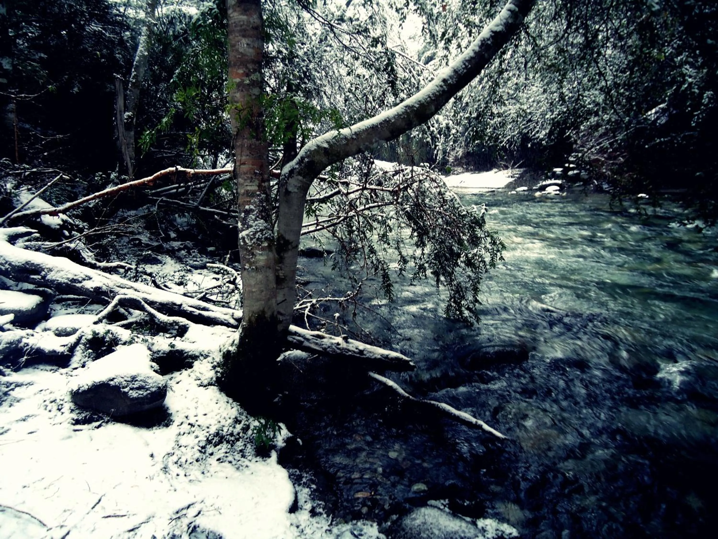 River view in Hosteria Patagon