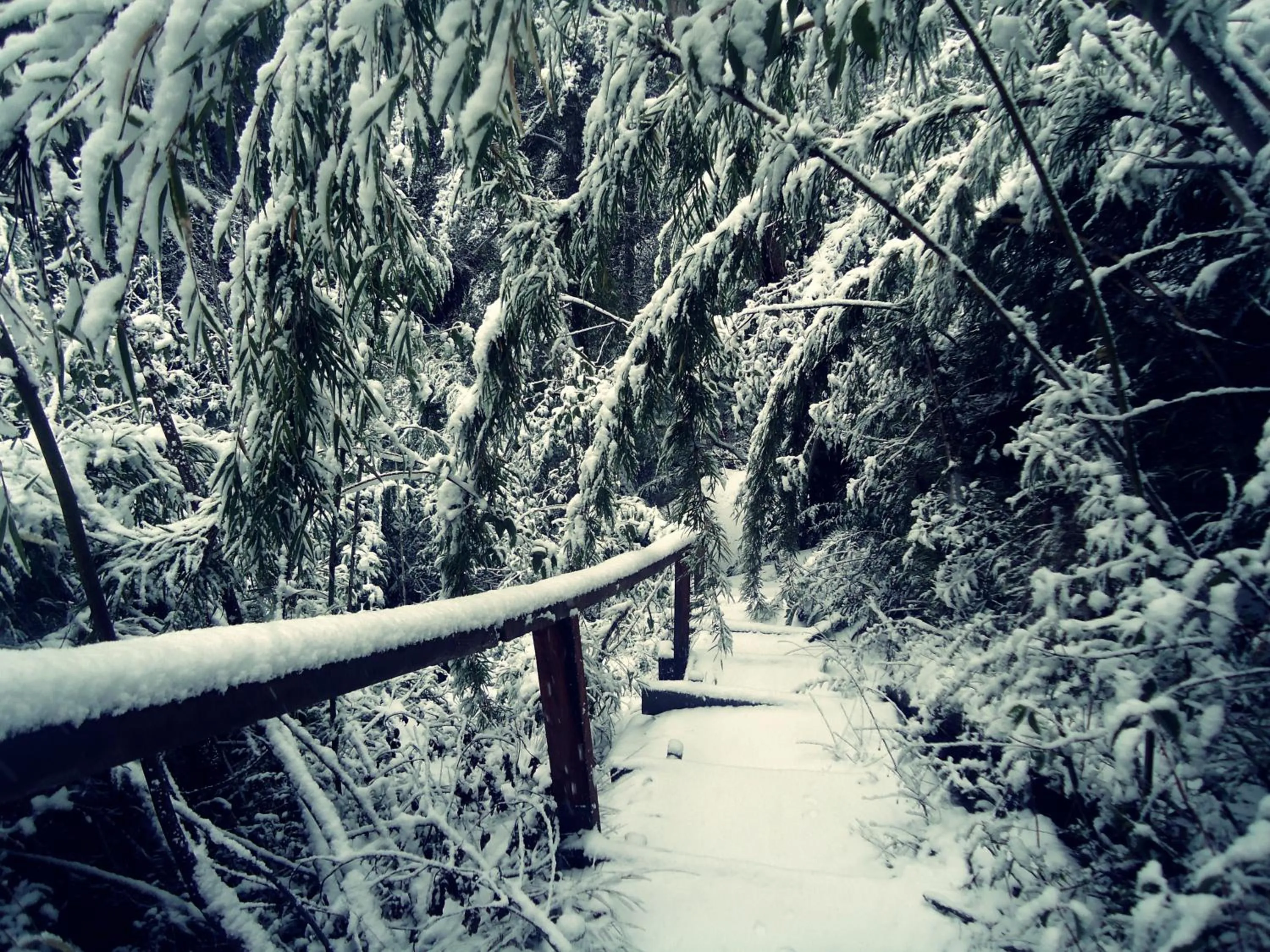 Off site in Hosteria Patagon