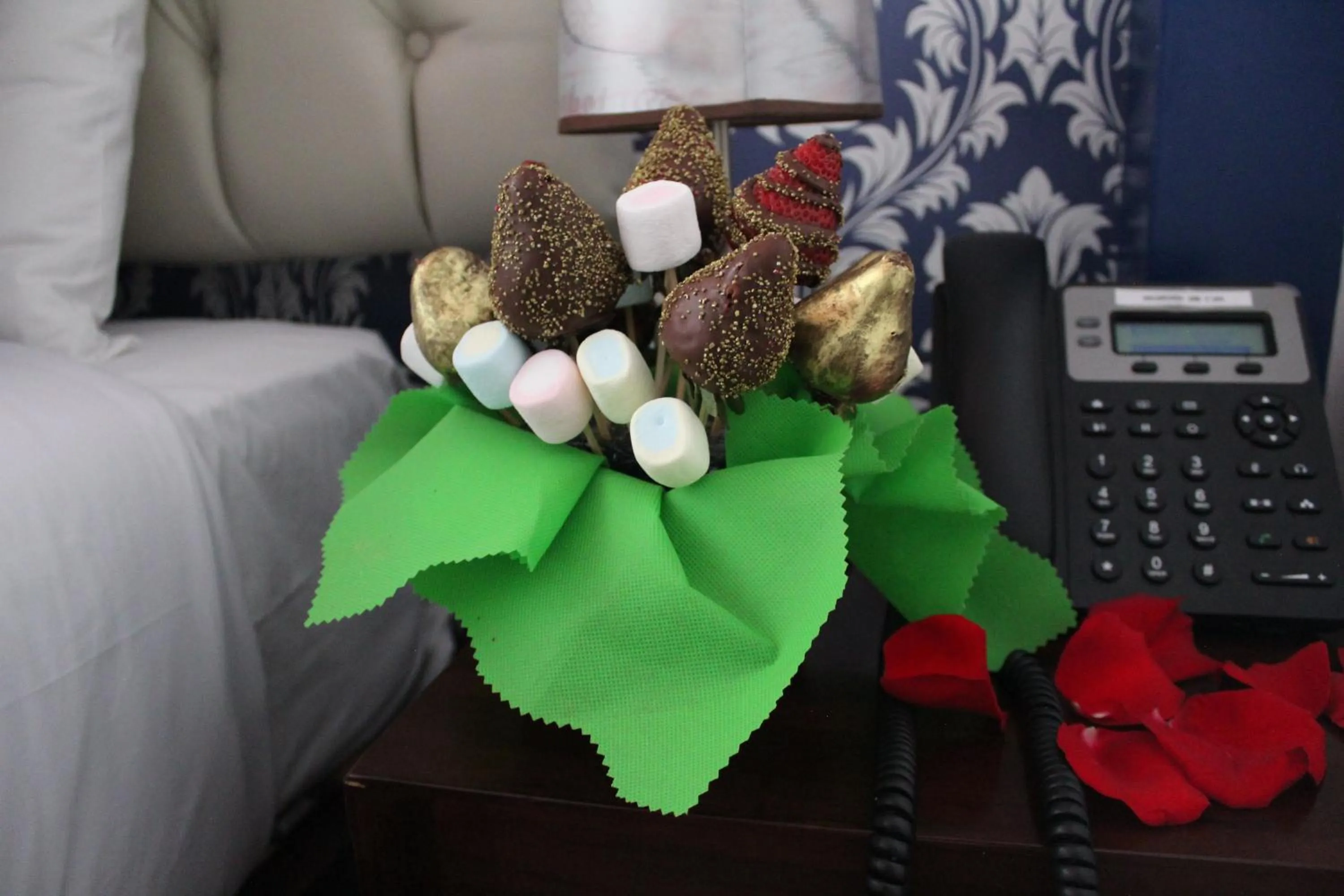 TERRA PREMIUM Hostal Boutique