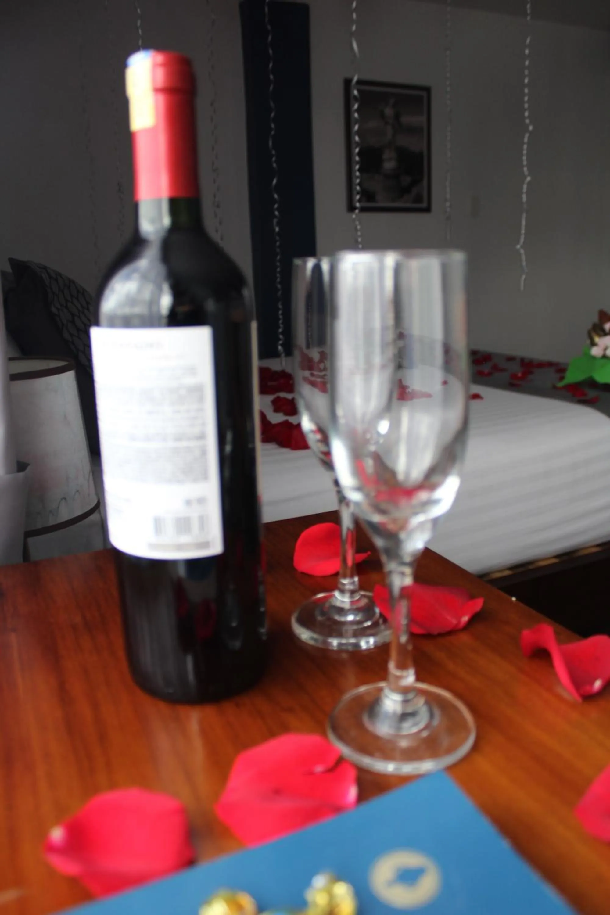 TERRA PREMIUM Hostal Boutique