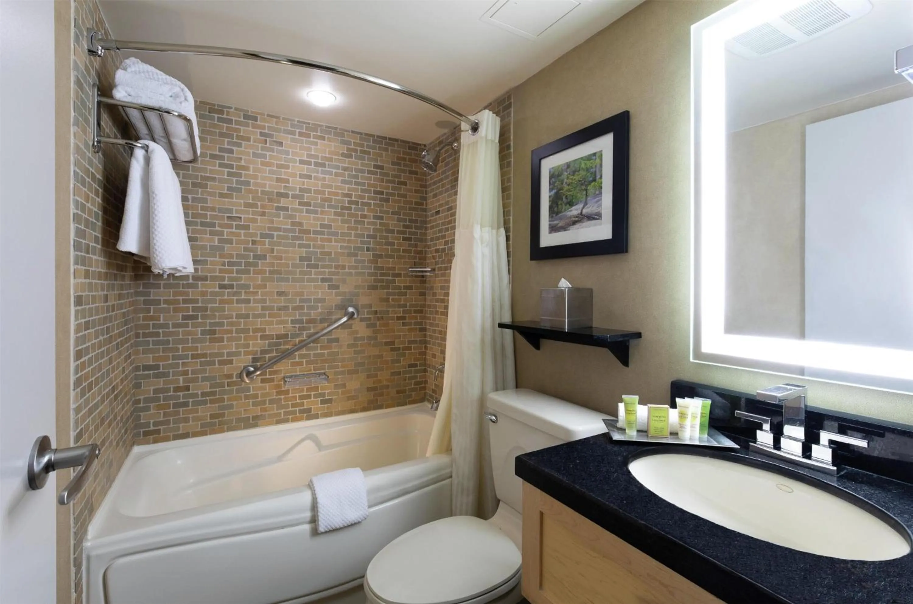 Bathroom in Hilton Whistler Resort & Spa