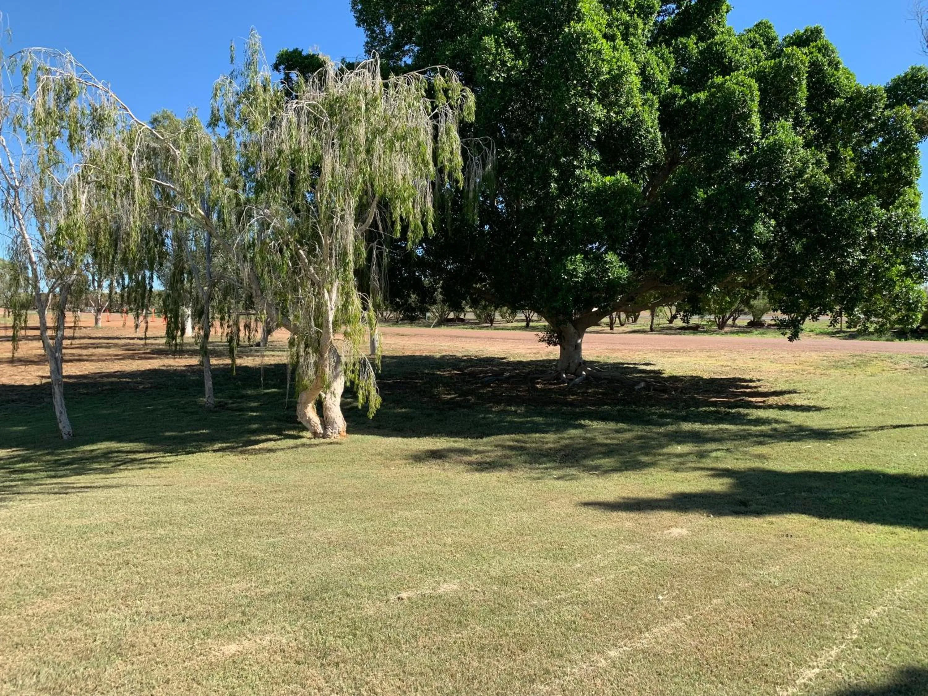 Garden in Albert Park Motor Inn