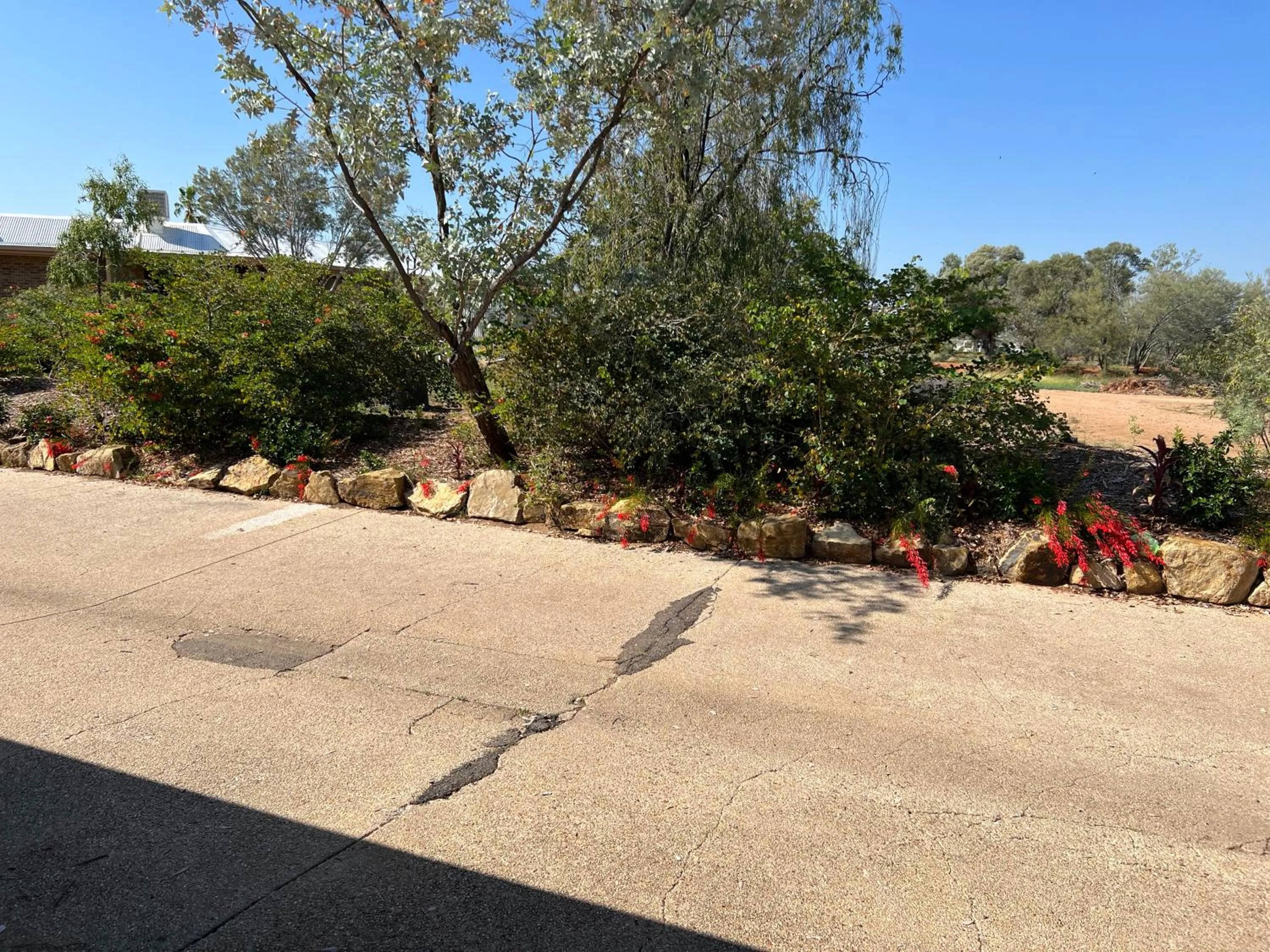 Garden in Albert Park Motor Inn