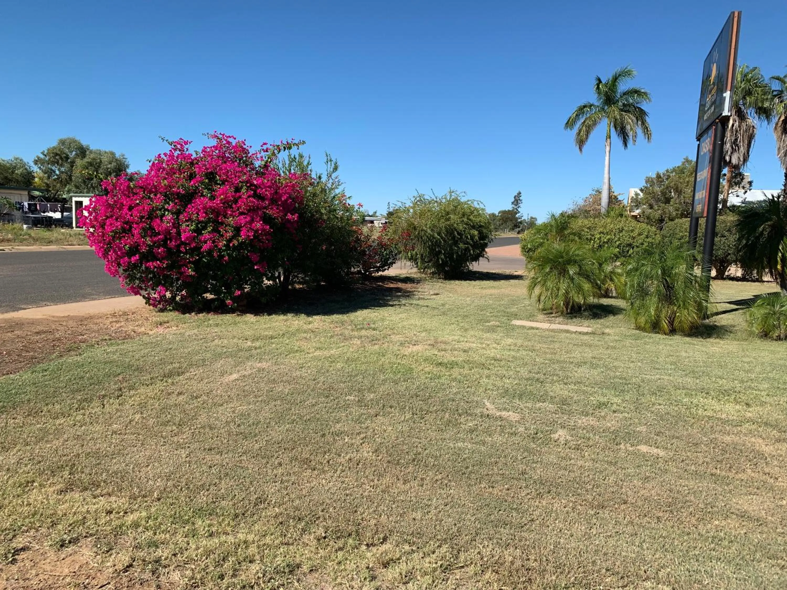 Garden in Albert Park Motor Inn