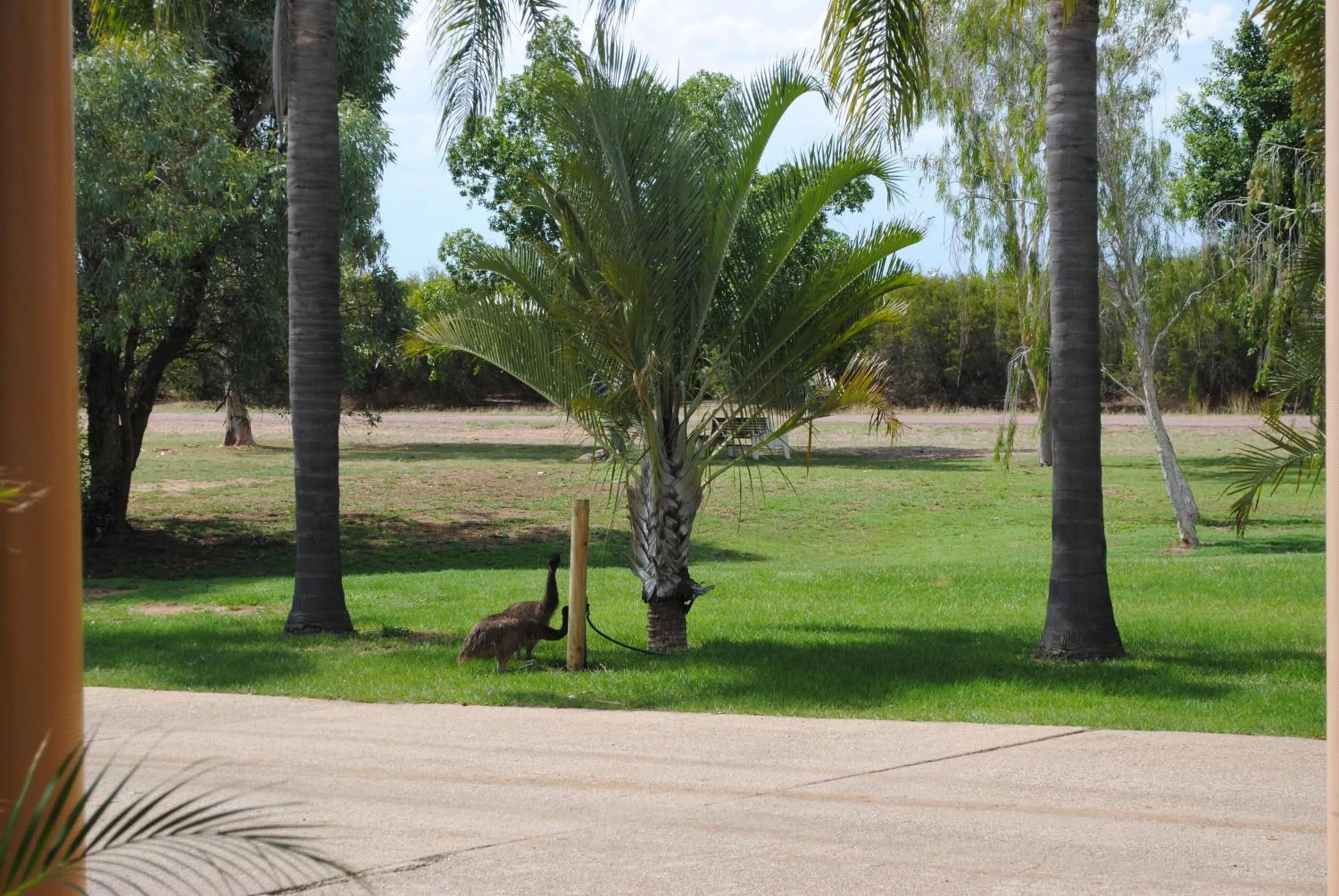 Garden in Albert Park Motor Inn
