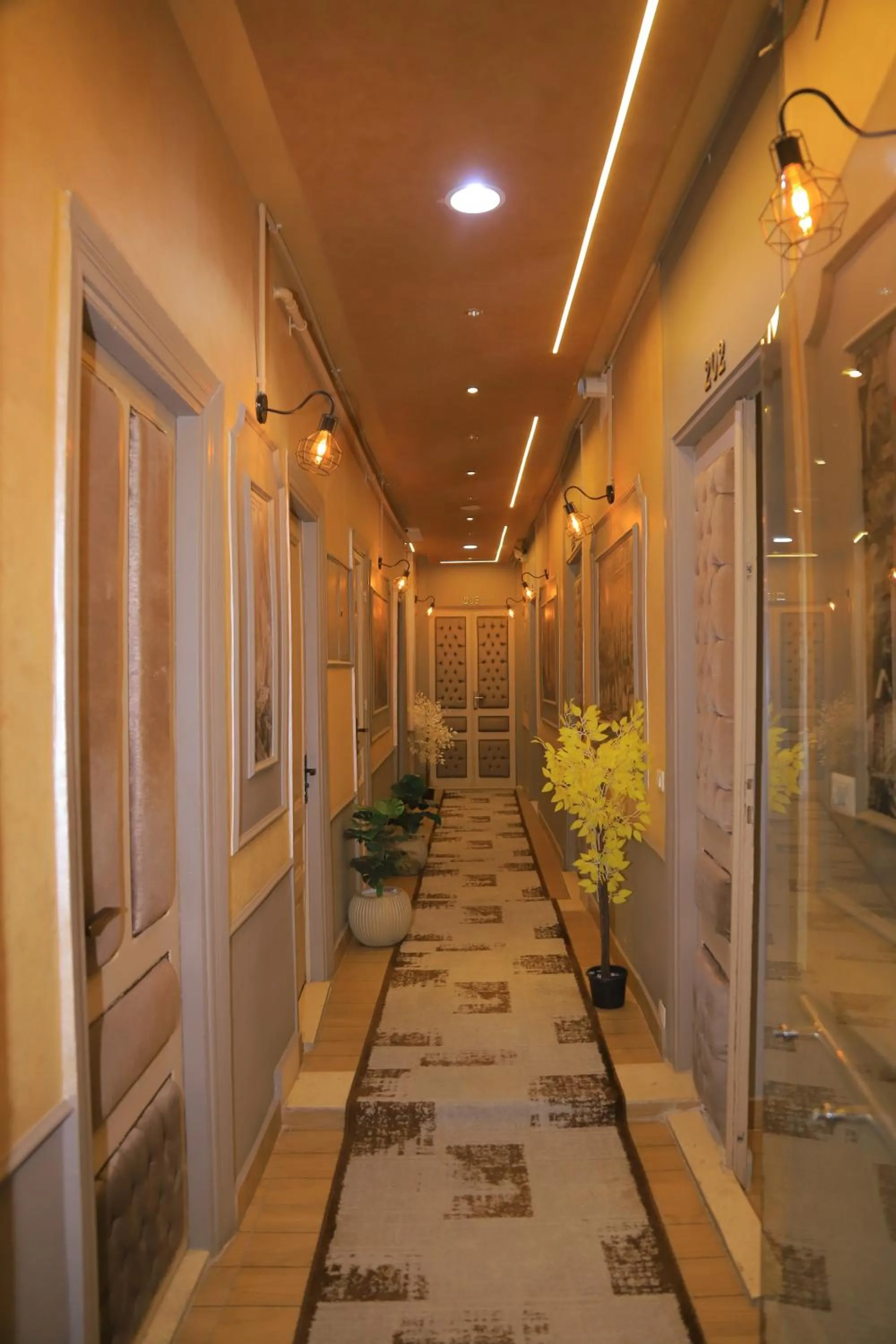 Area and facilities in Holy Sheet Hostel