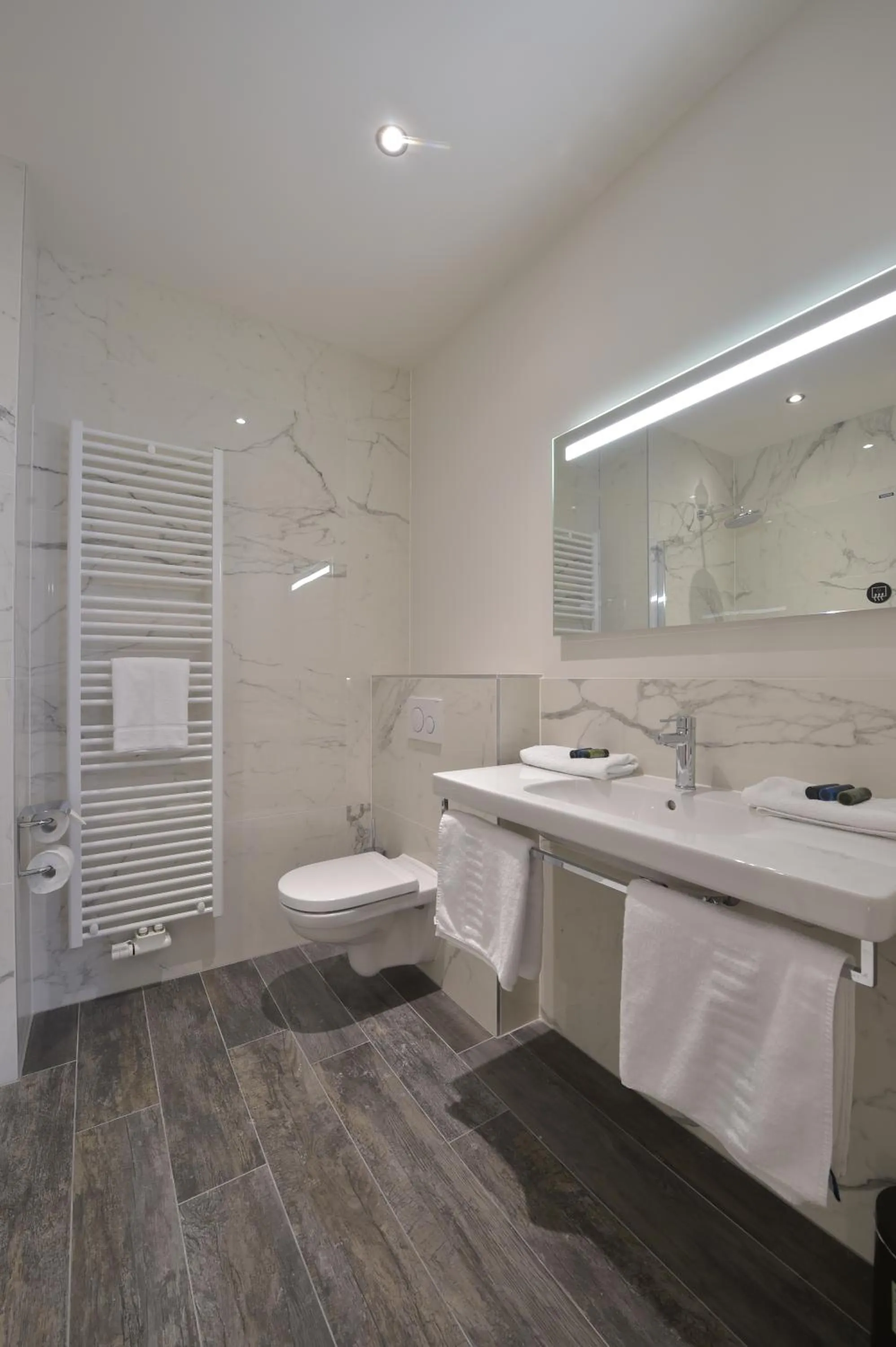 Toilet in Hotel Monarc