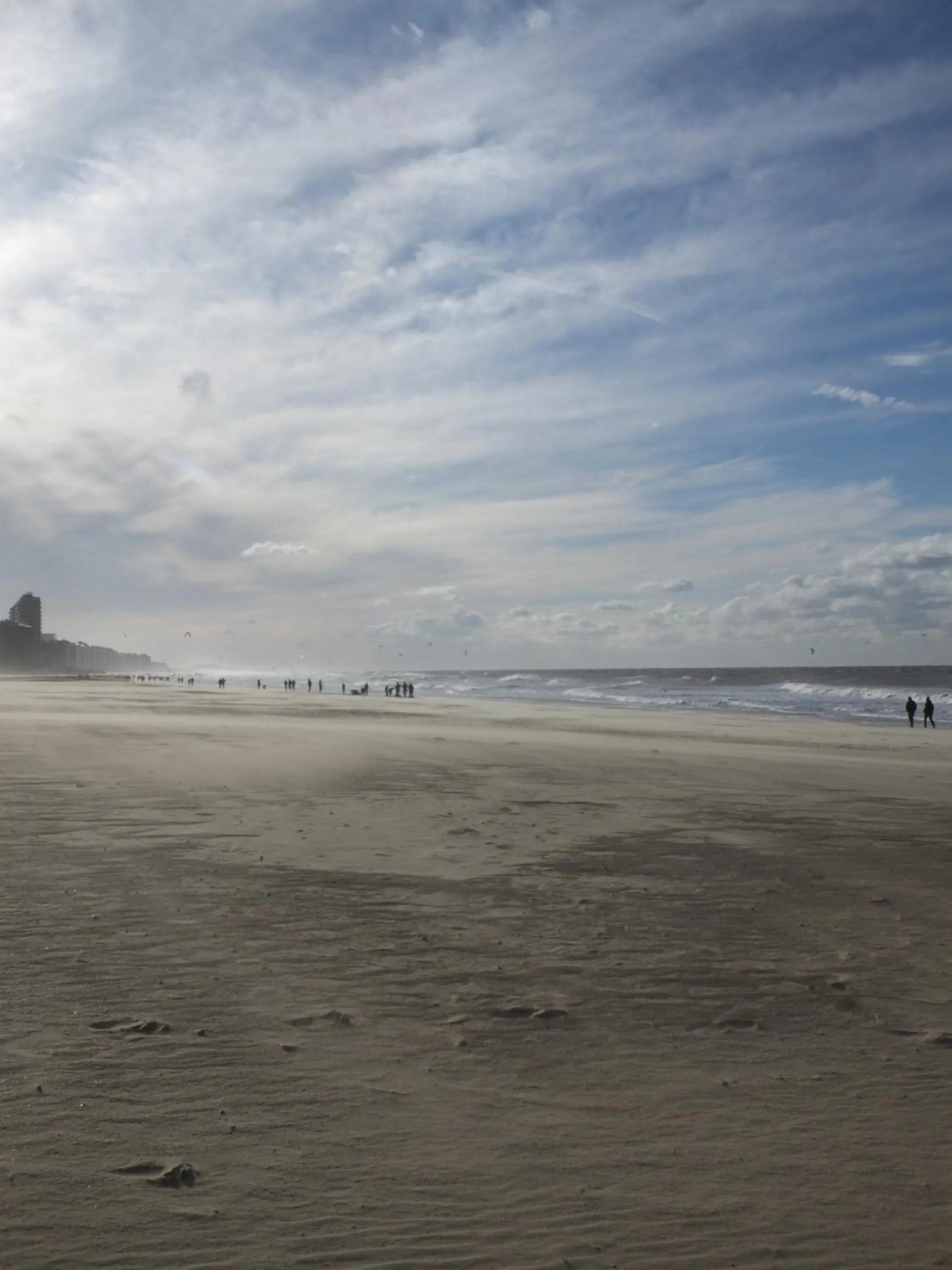 Natural landscape in Hotel Monarc