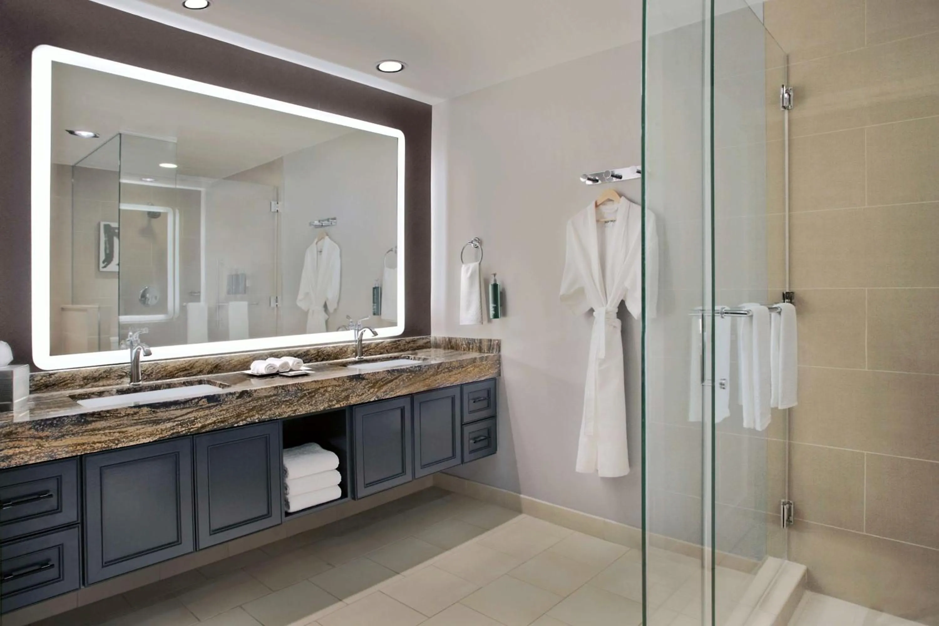 Bathroom in Hilton Omaha