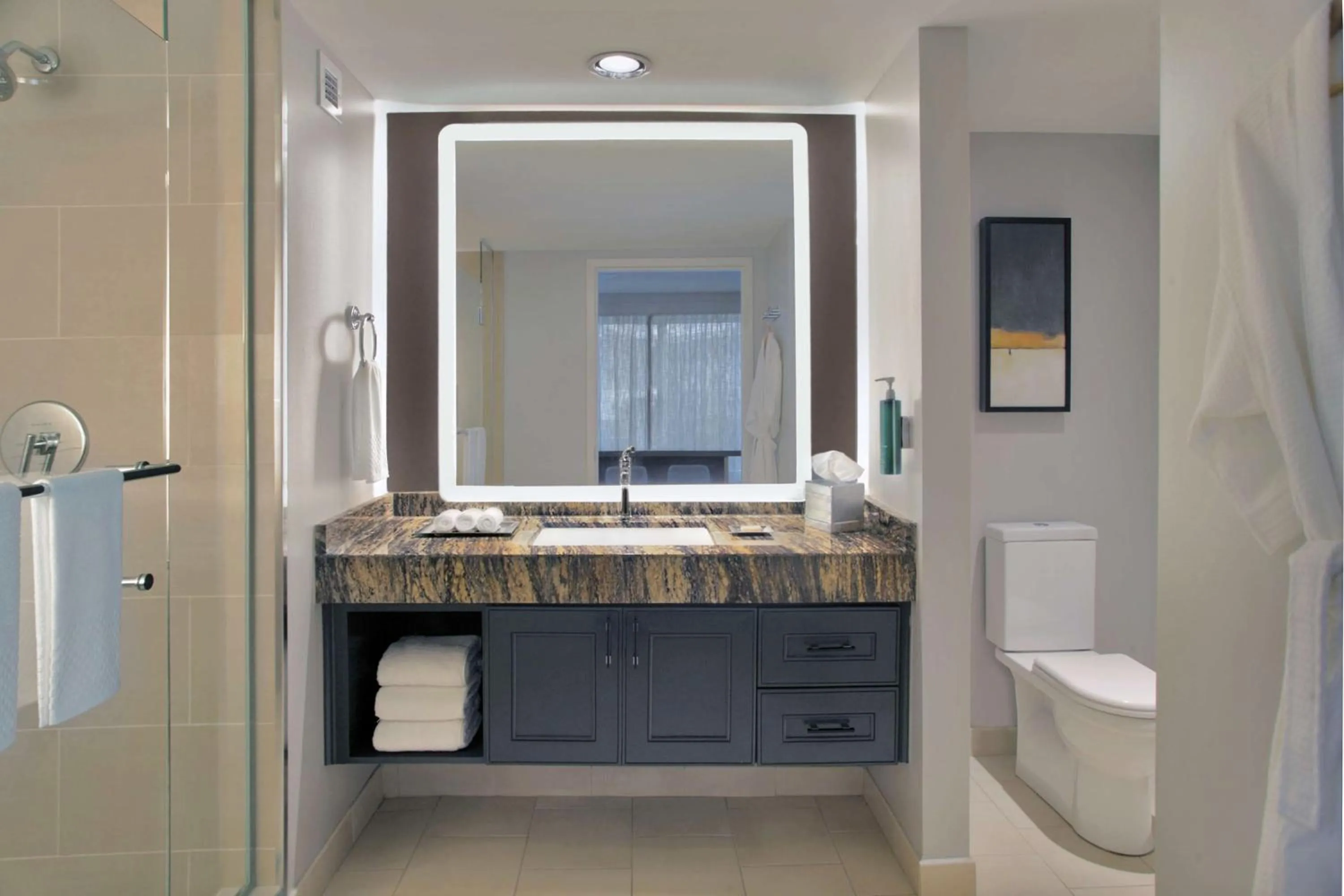 Bathroom in Hilton Omaha