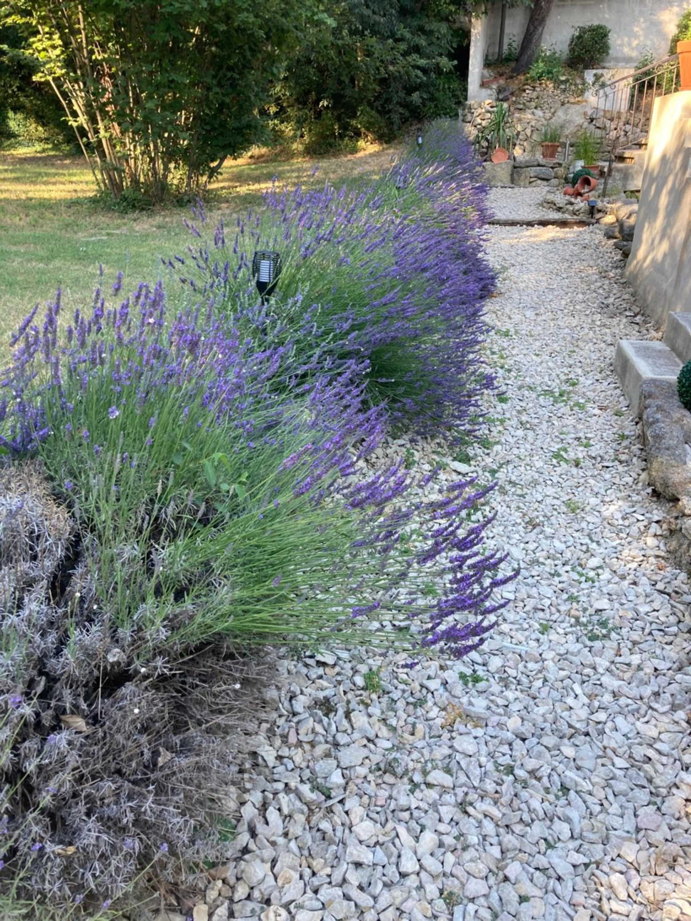 Garden in Le Mas aux Arômes