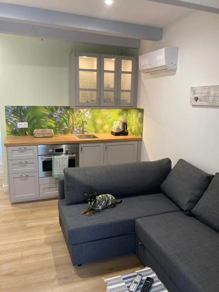 Kitchen or kitchenette in Le Mas aux Arômes