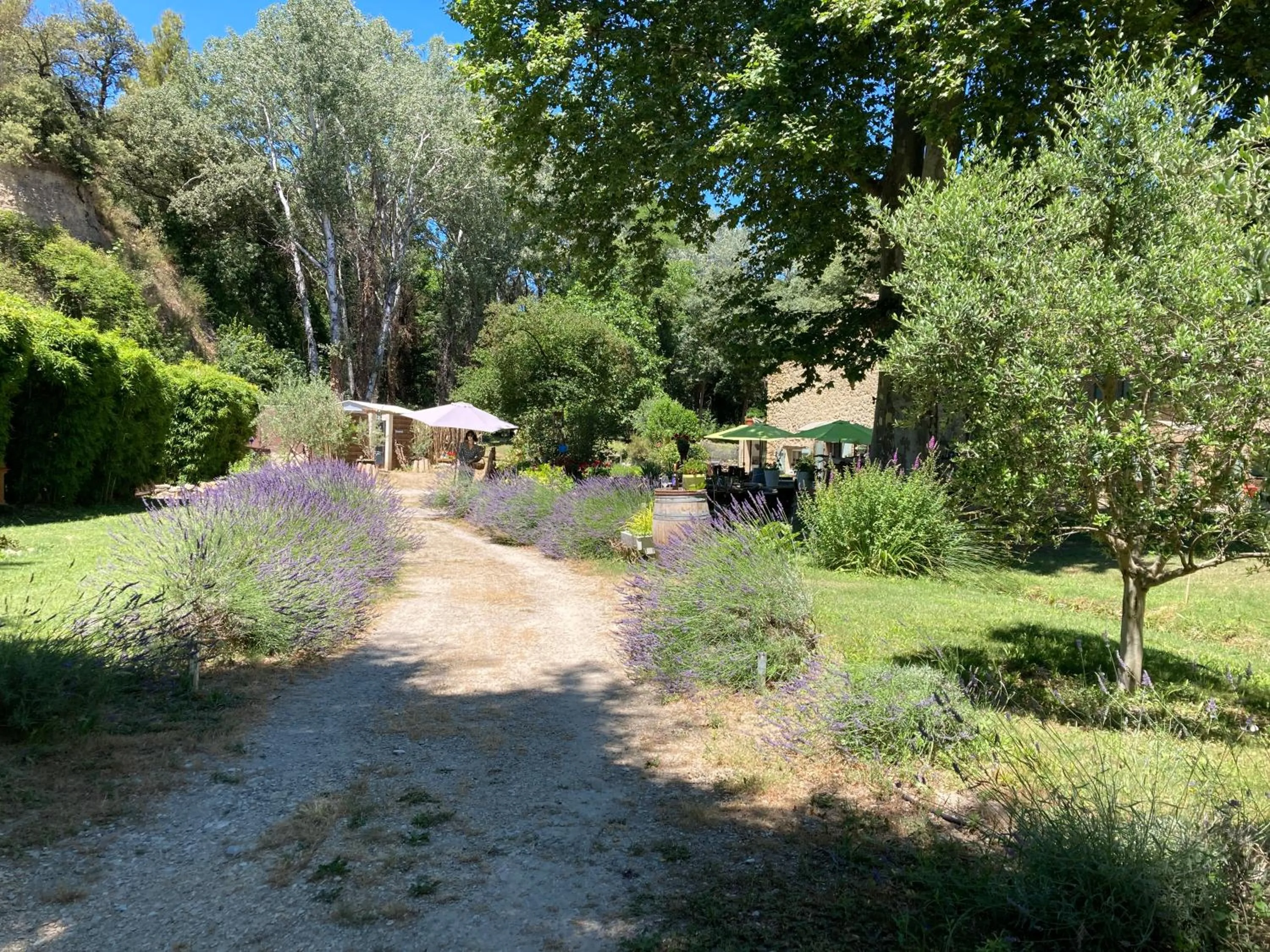 Garden in Le Mas aux Arômes