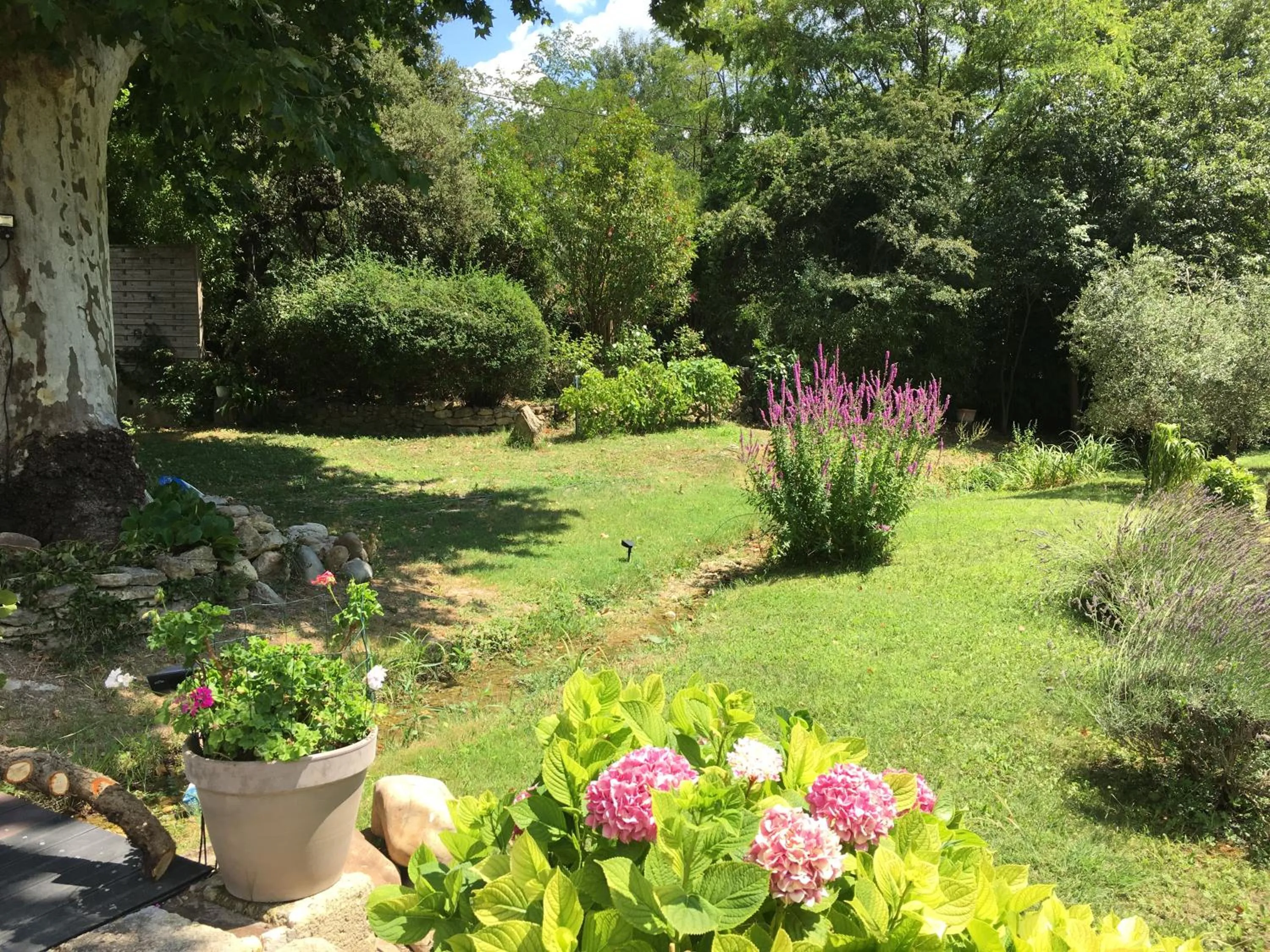 Garden in Le Mas aux Arômes