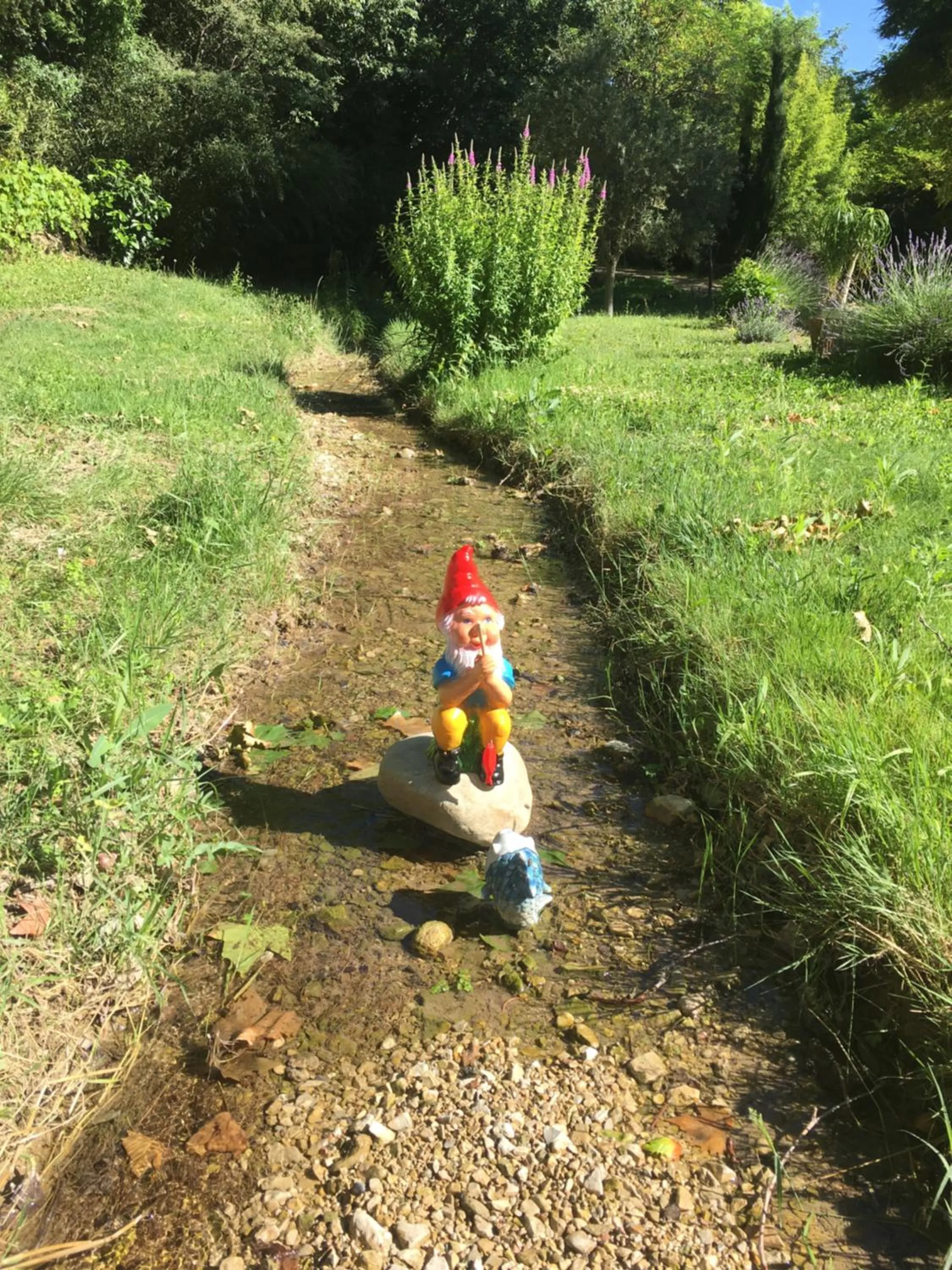 Garden in Le Mas aux Arômes