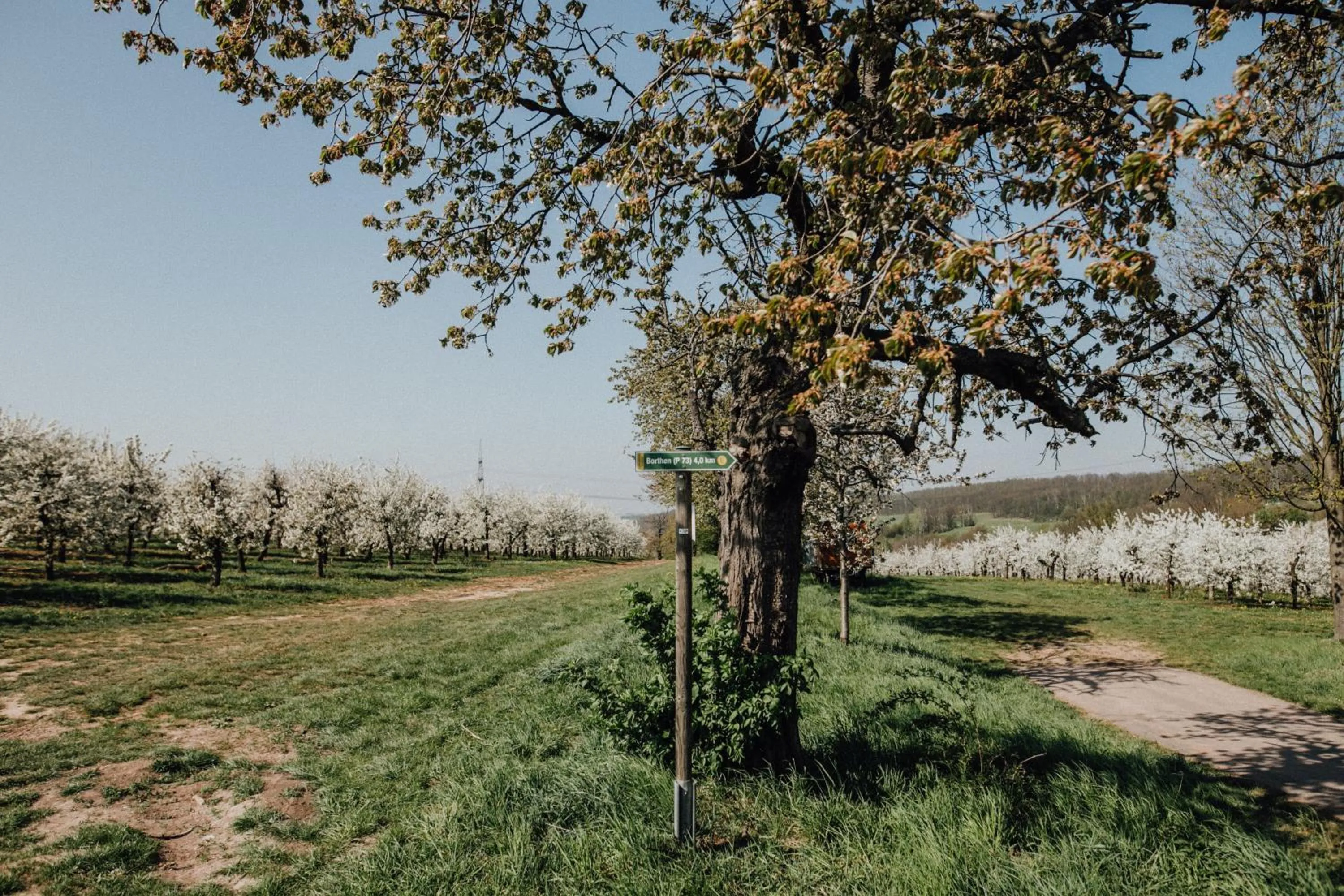 Natural landscape in Landhotel Rosenschänke