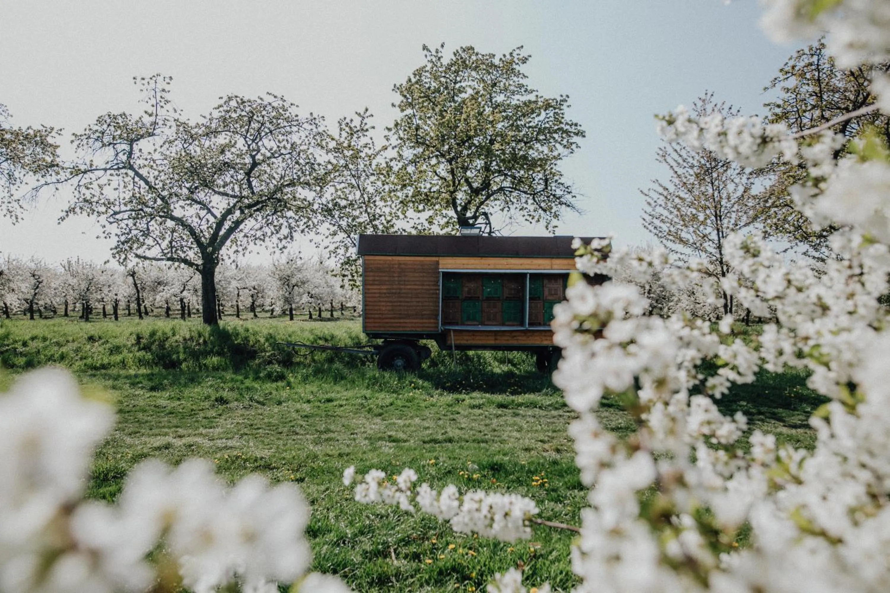 Other in Landhotel Rosenschänke
