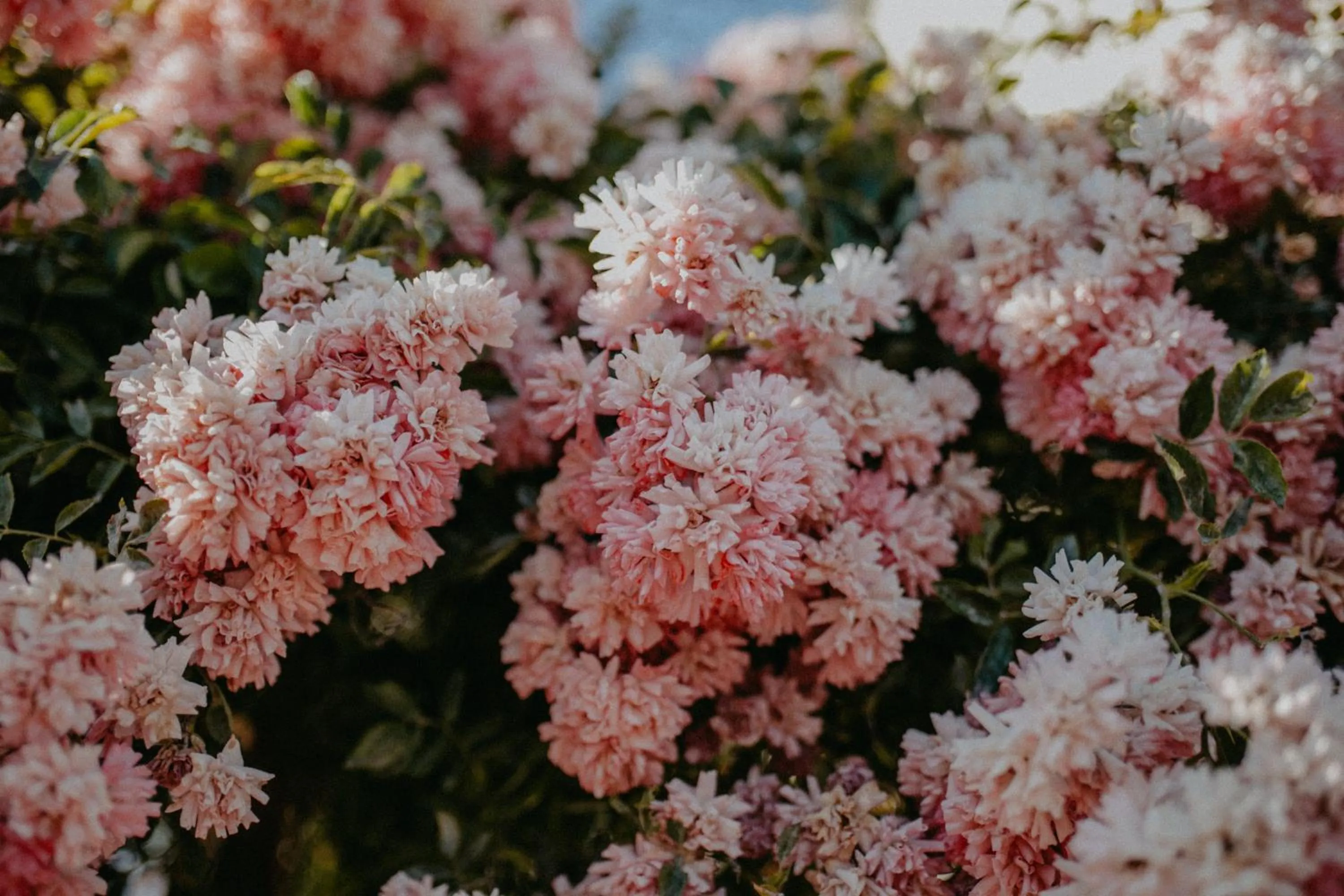 Decorative detail in Landhotel Rosenschänke