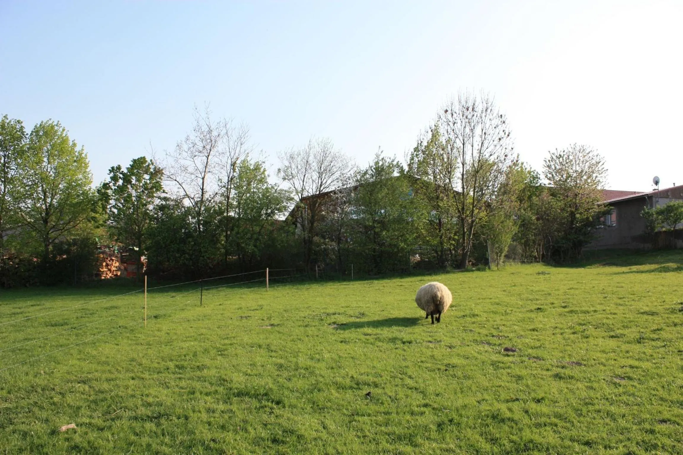 Natural landscape in Landhotel Rosenschänke