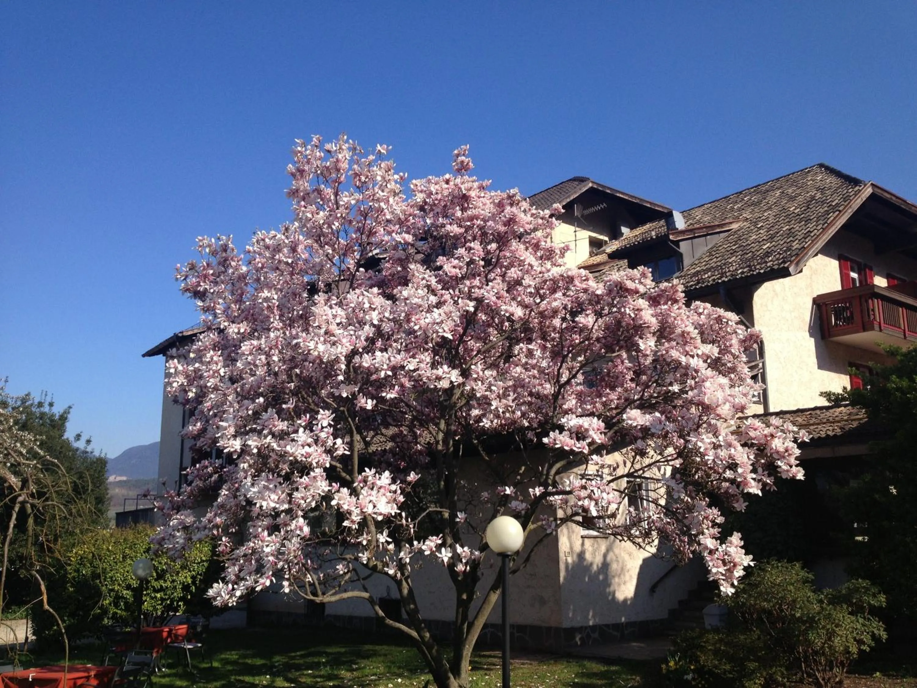 Garden in Angerburg Blumenhotel
