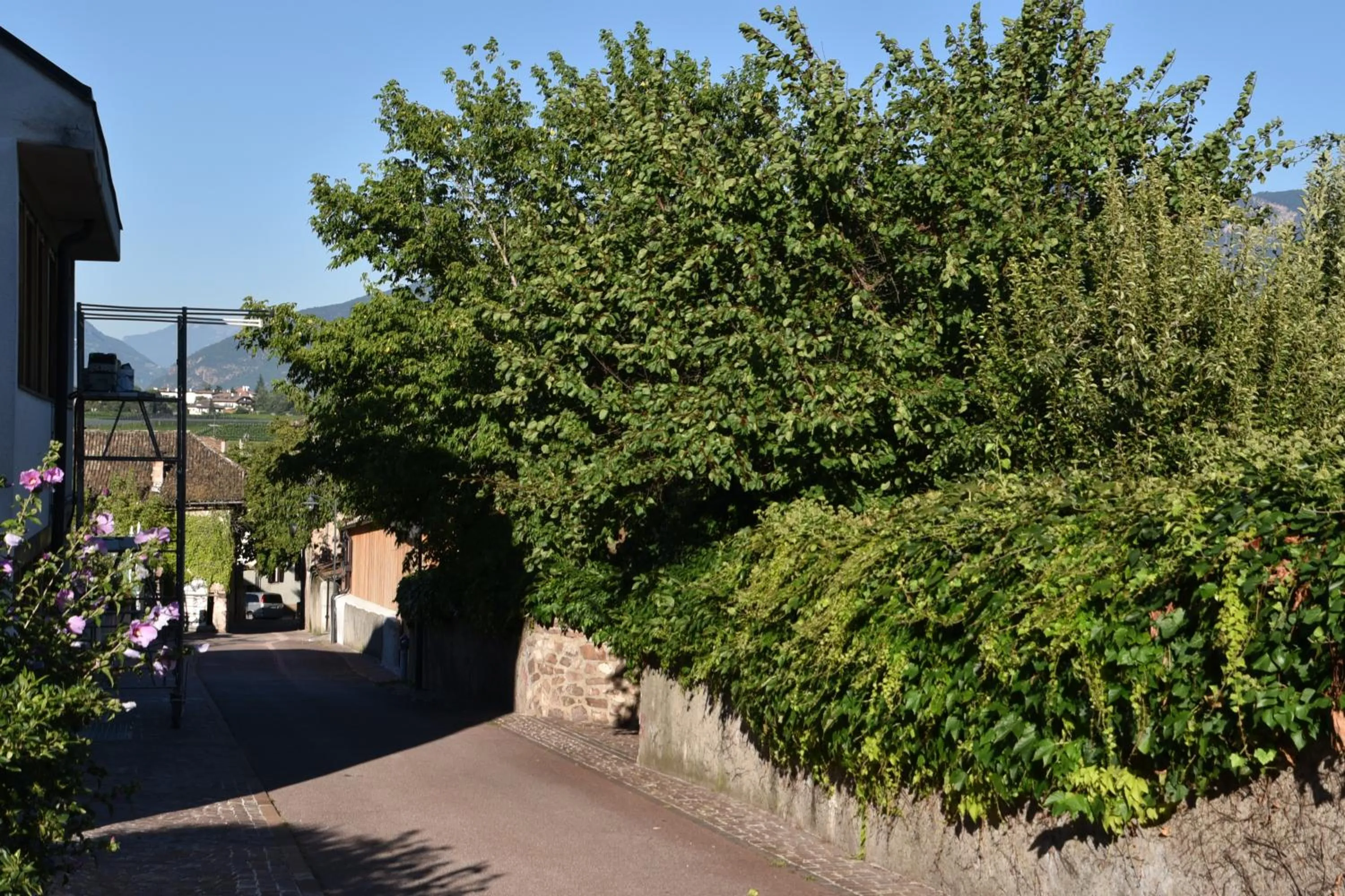 View (from property/room) in Angerburg Blumenhotel