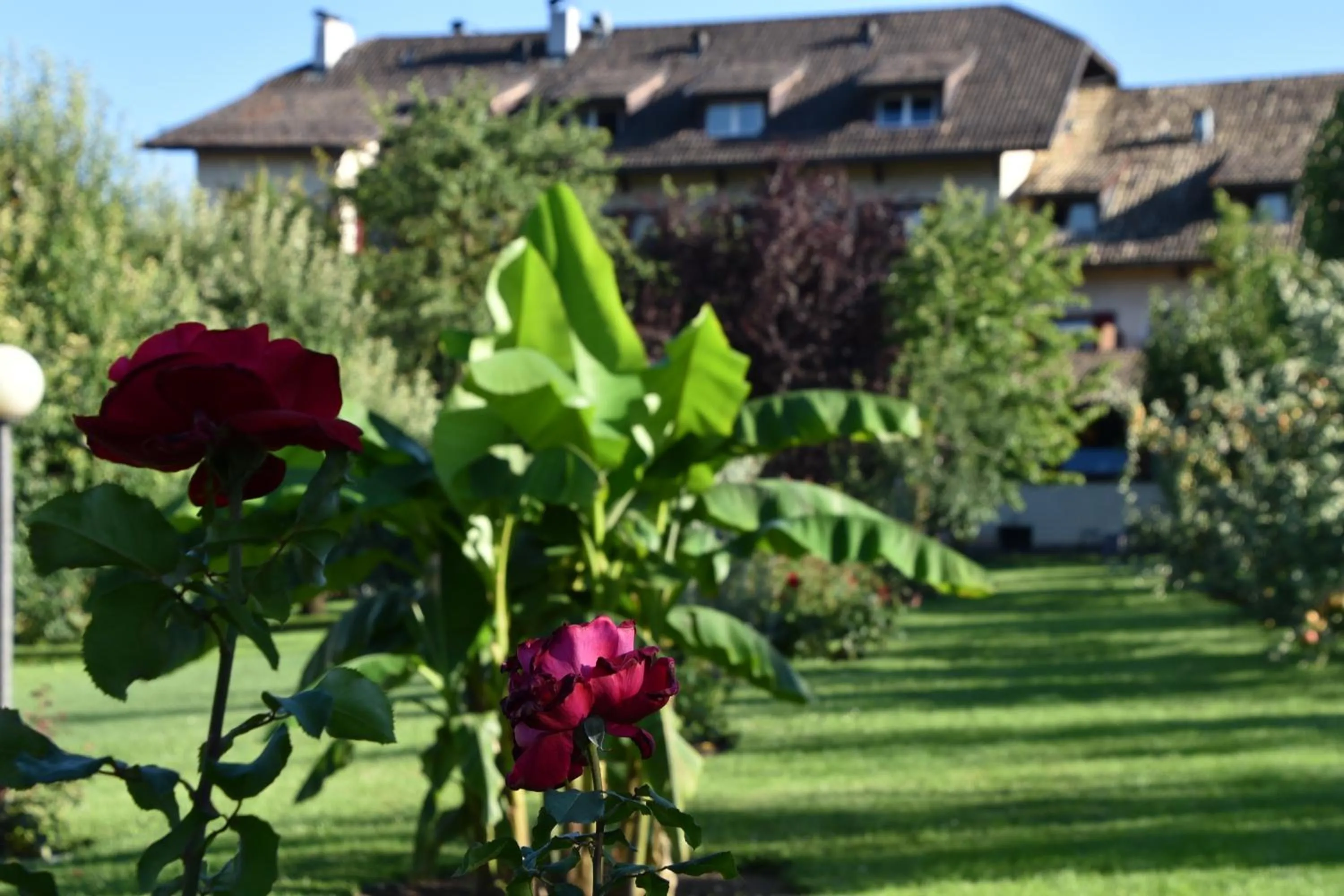 Property building in Angerburg Blumenhotel