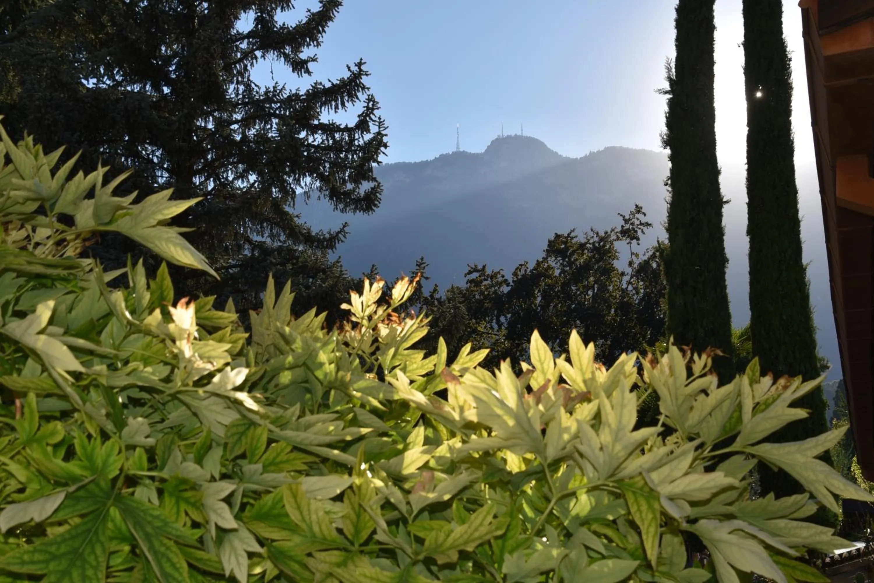 View (from property/room) in Angerburg Blumenhotel