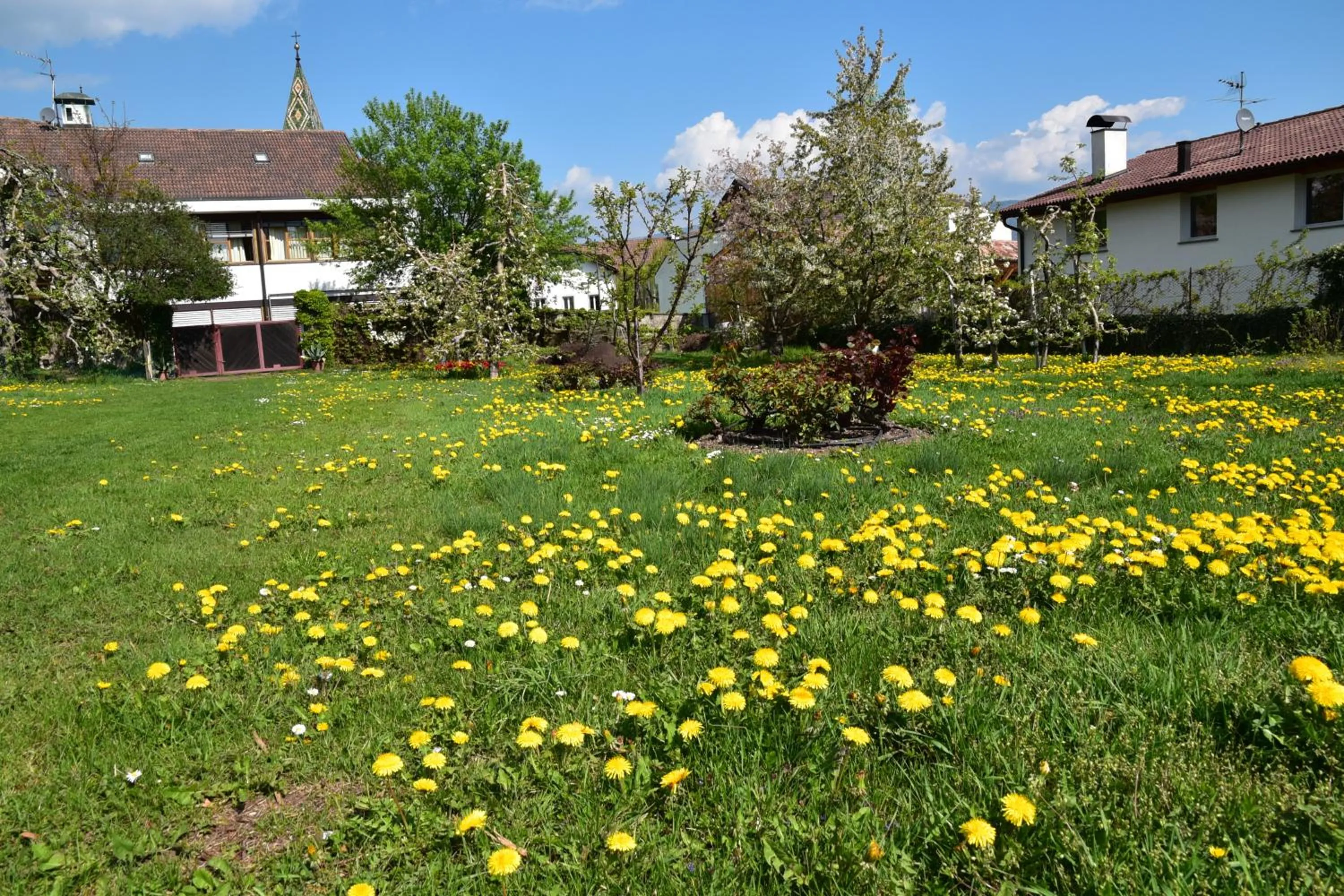 Garden in Angerburg Blumenhotel