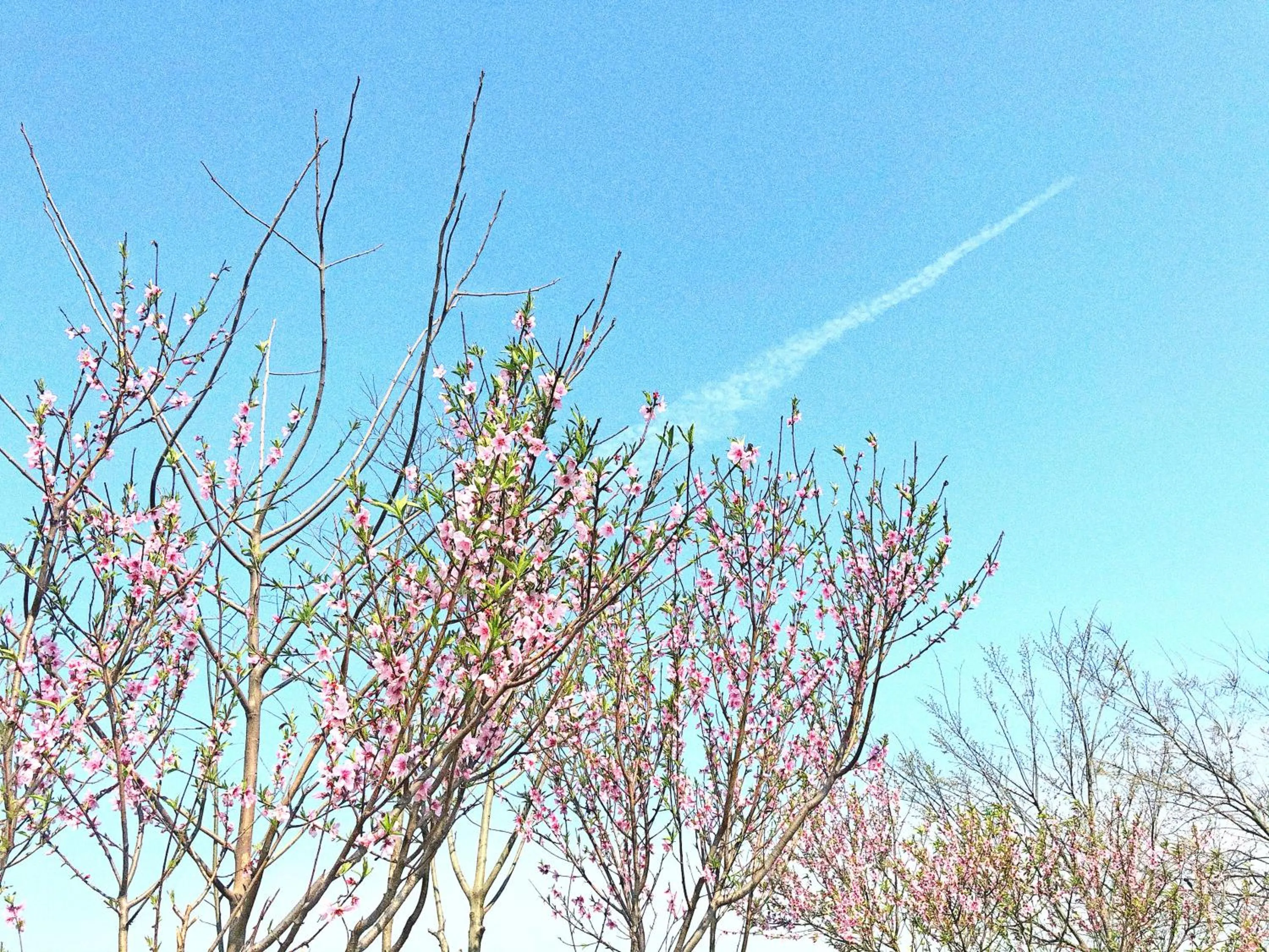 Siko Grand Hotel Suzhou Yangcheng